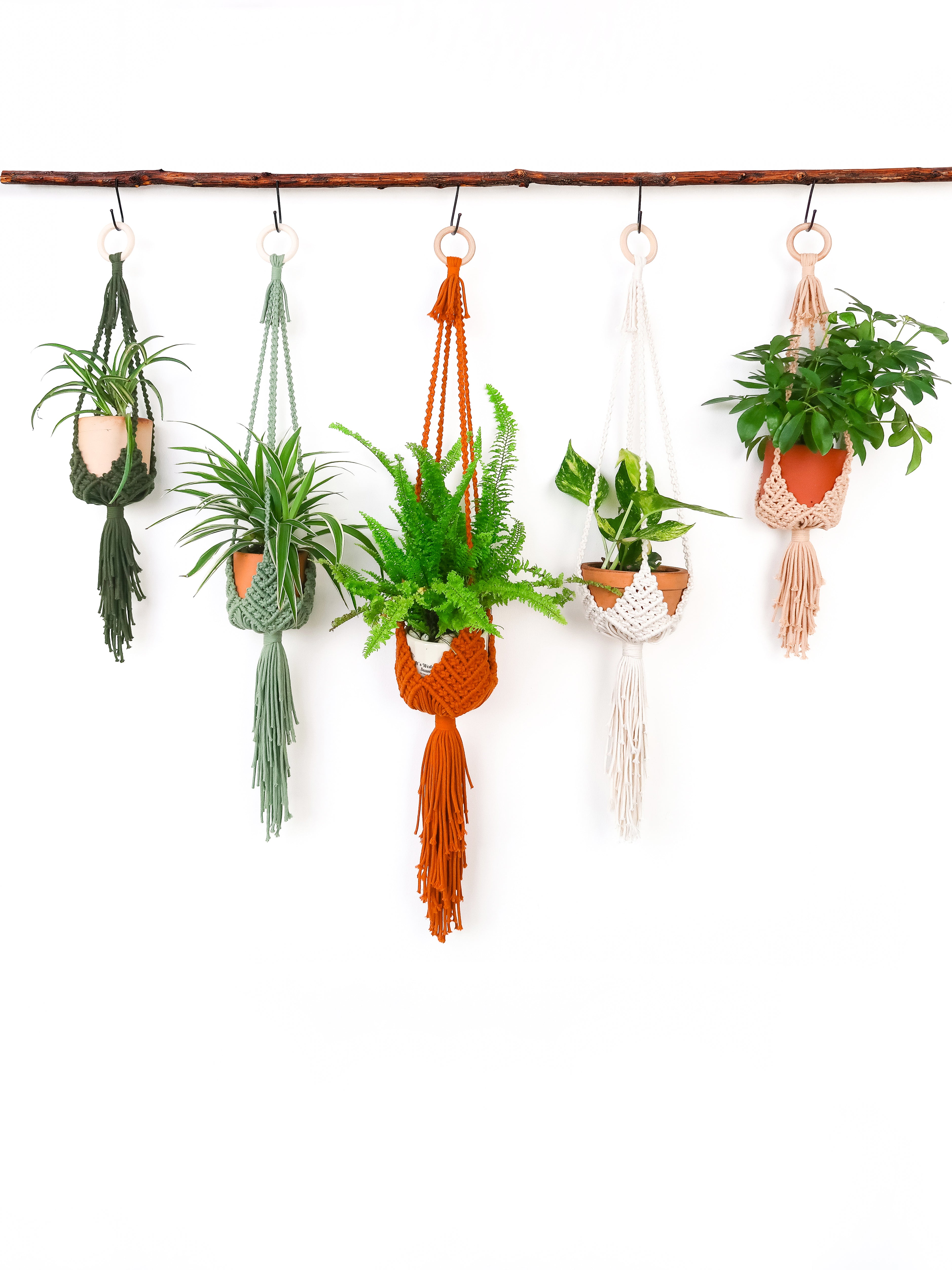 Bloom Boho Macrame Hanging Planter Holder