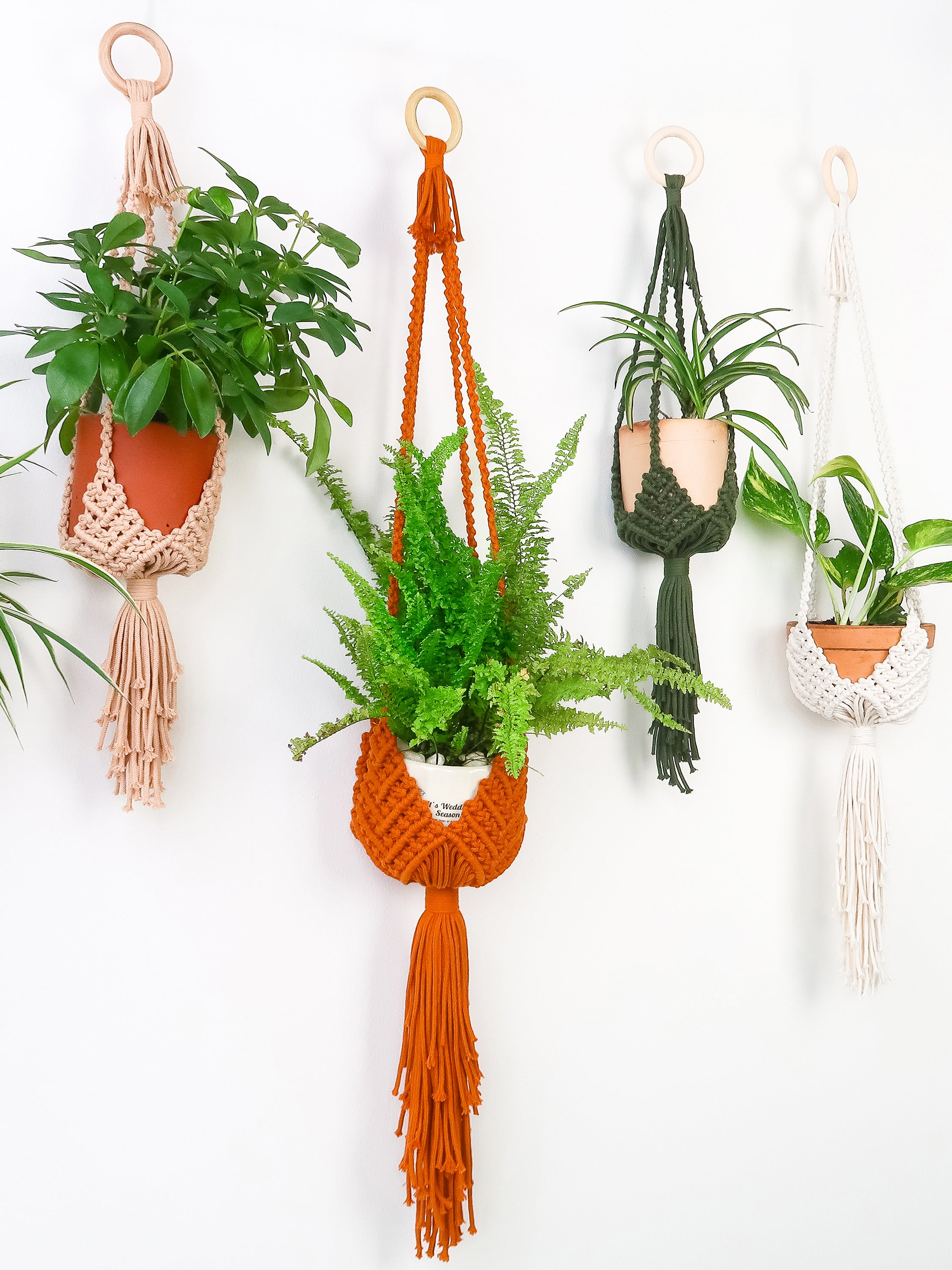Four macrame plant hangers in beige, orange, dark green, and white, each holding a potted plant, displayed against a clean white wall.