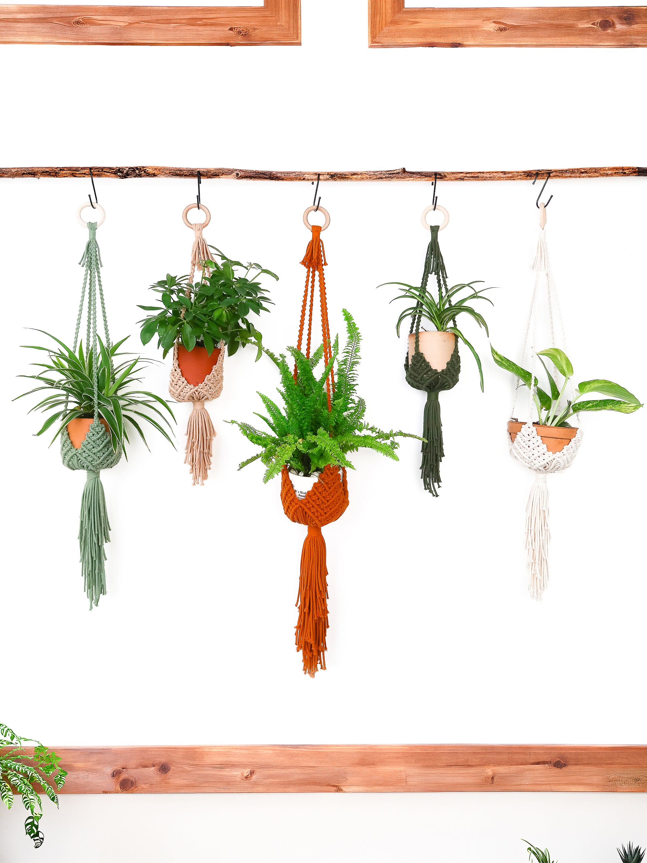 Five macrame plant hangers in green, beige, orange, dark green, and white, suspending potted plants from a rustic wooden rod against a white wall.