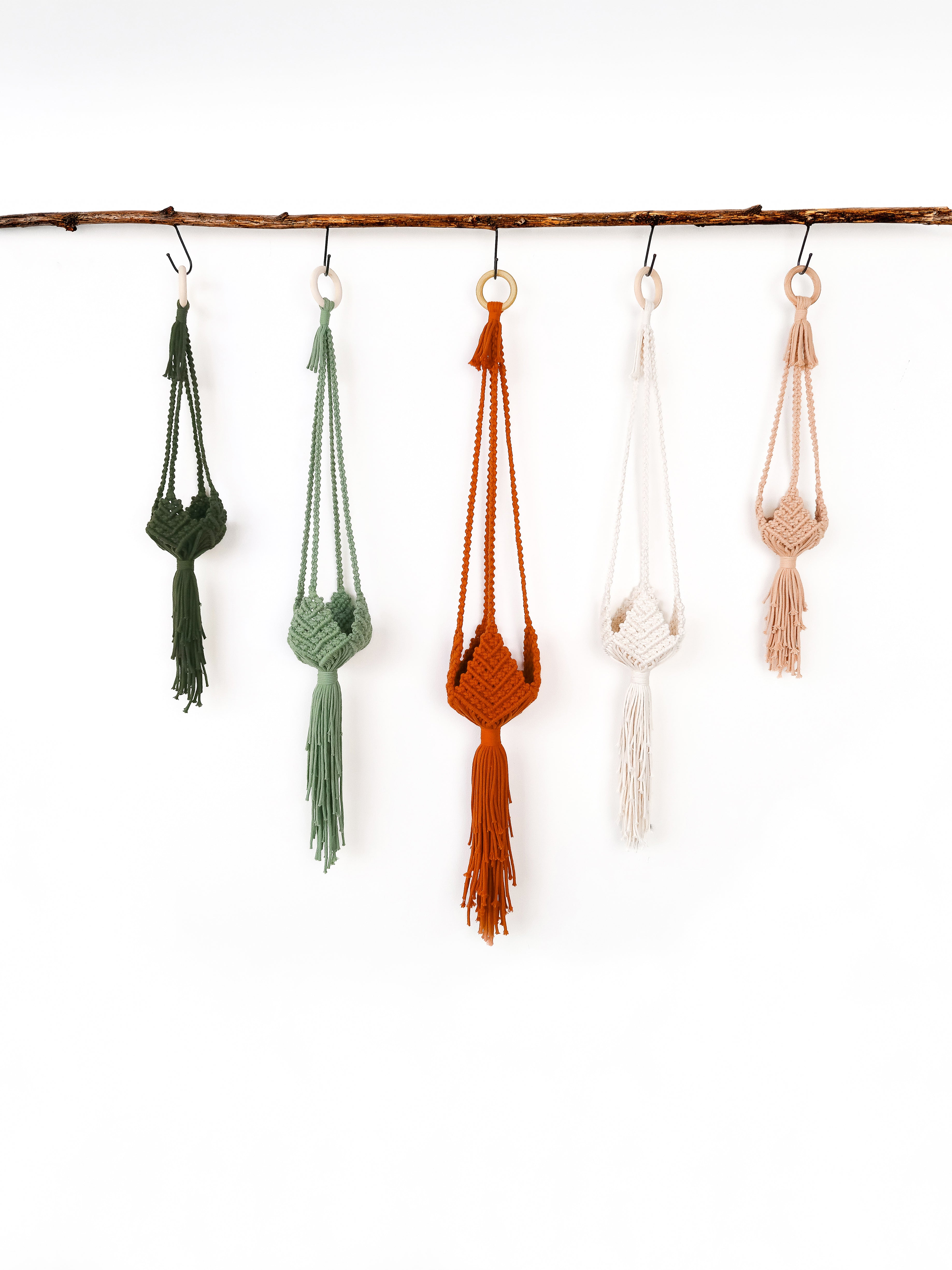 Five knotted macrame wall hangings in different colors hang from a natural branch against a plain white background. The colors are dark green, sage green, rust orange, cream, and light pink.