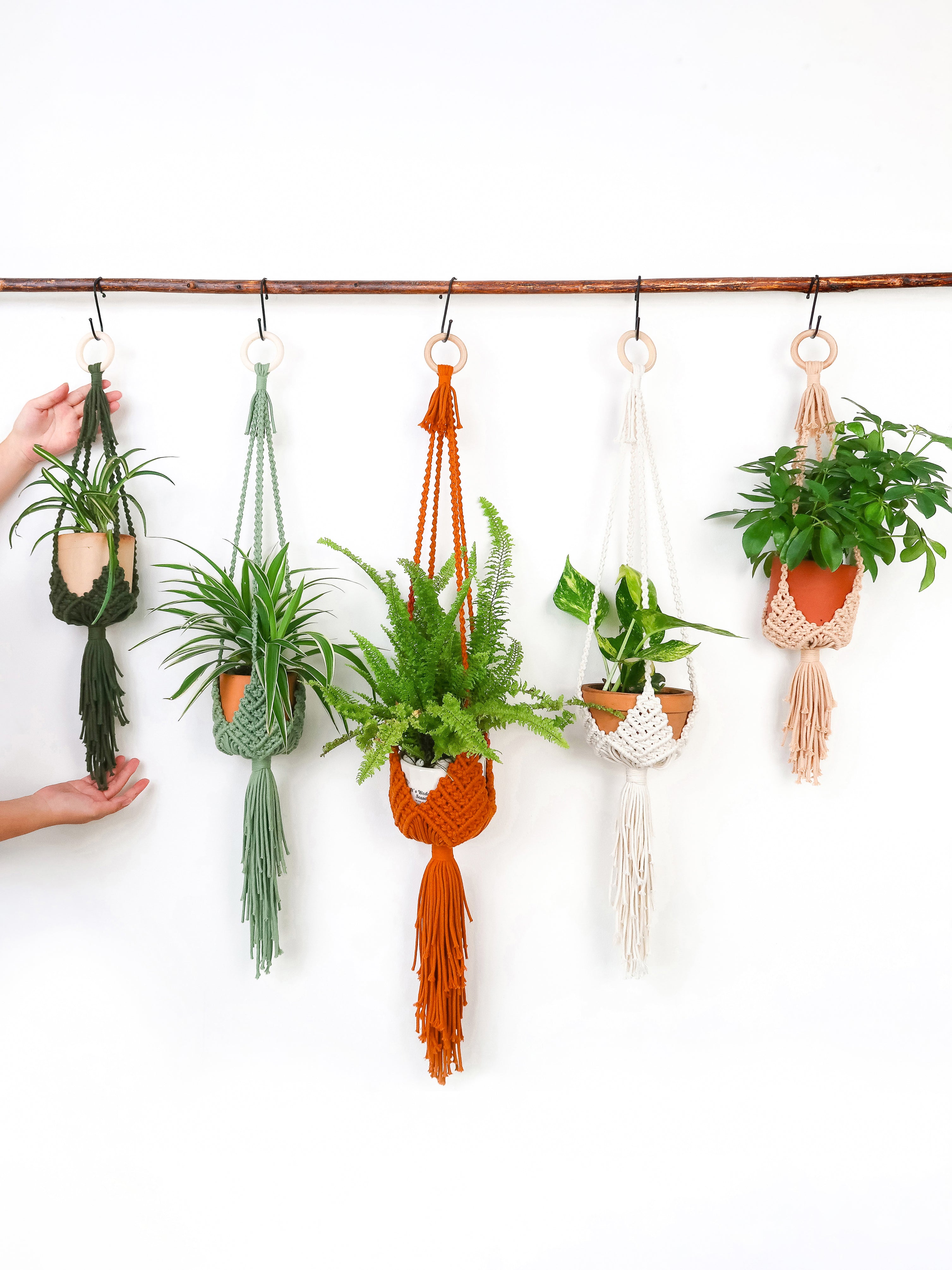 Five colorful macrame plant hangers in green, orange, white, and beige, suspended from a rustic wooden rod against a white wall. Each hanger holds a different potted plant, and two hands are visible on the far left holding the first two hangers.