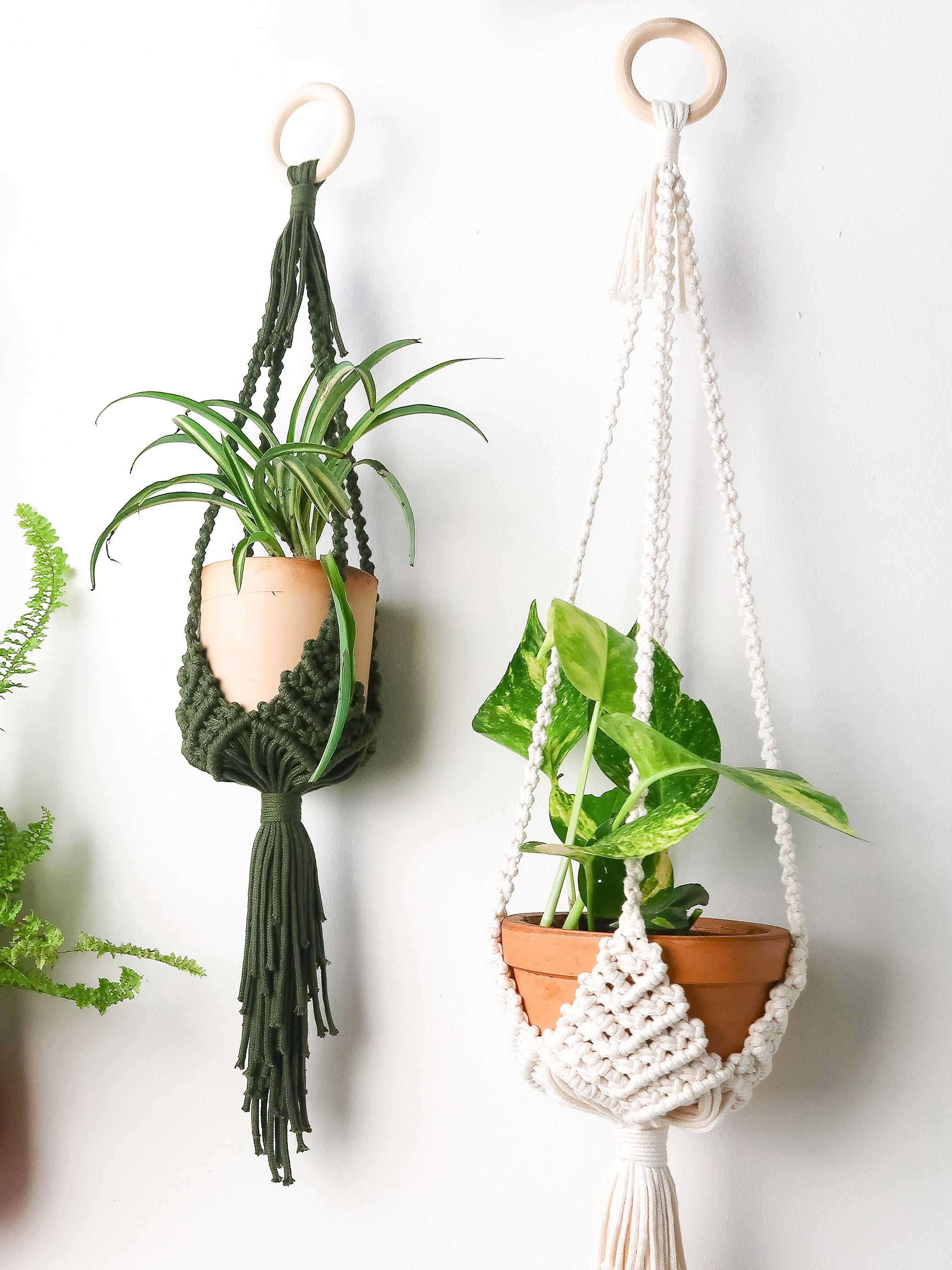 Two macrame plant hangers hanging on a white wall, each holding a terracotta pot with a green houseplant. The left hanger is dark green with a wooden ring and tassel, and the right hanger is cream with a wooden ring and tassel.