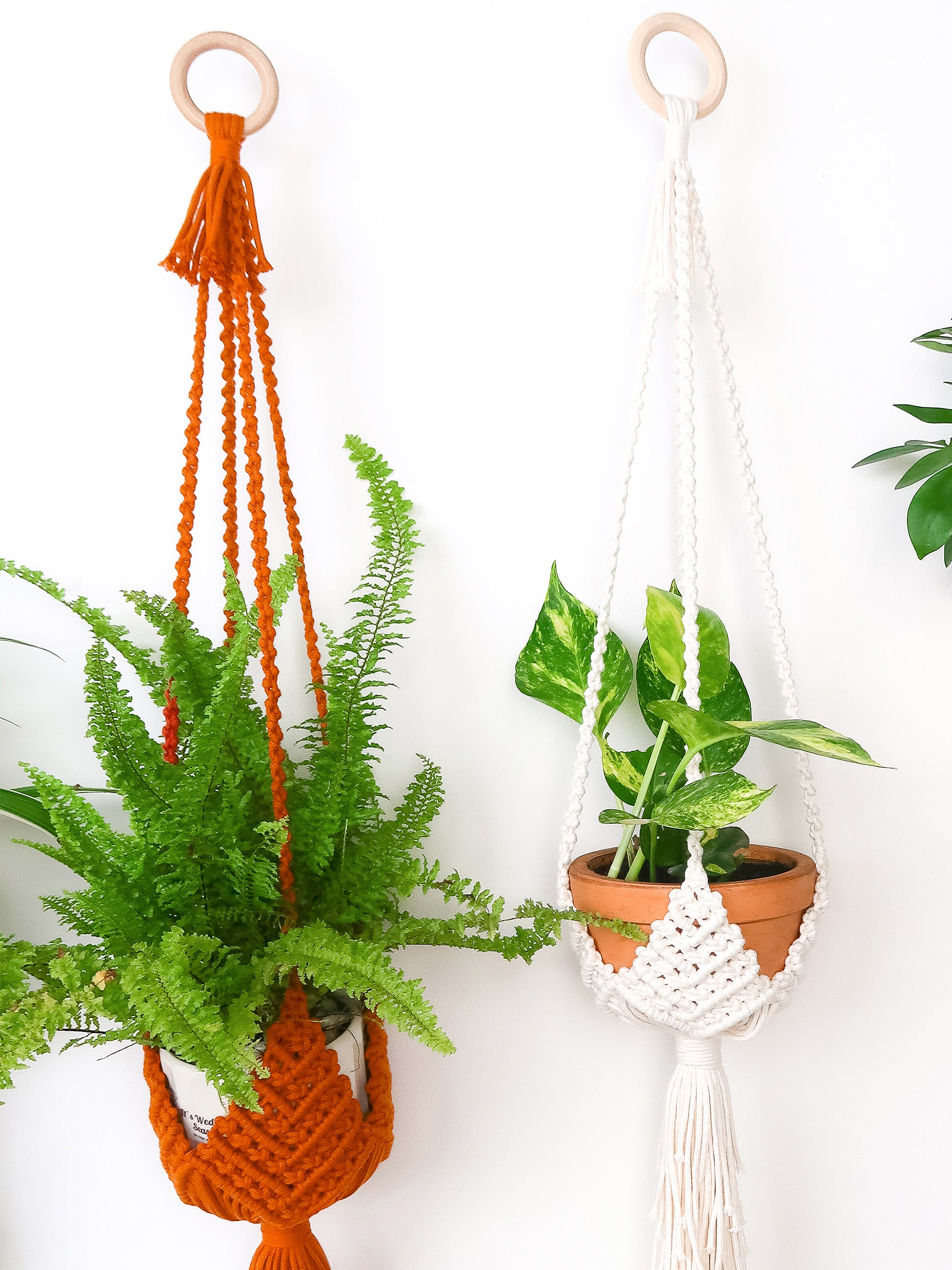 Two hanging planters displayed against a white wall: an orange macramé hanger with a green fern in a white pot, and a white macramé hanger with a green-and-white leafy plant in a terracotta pot.