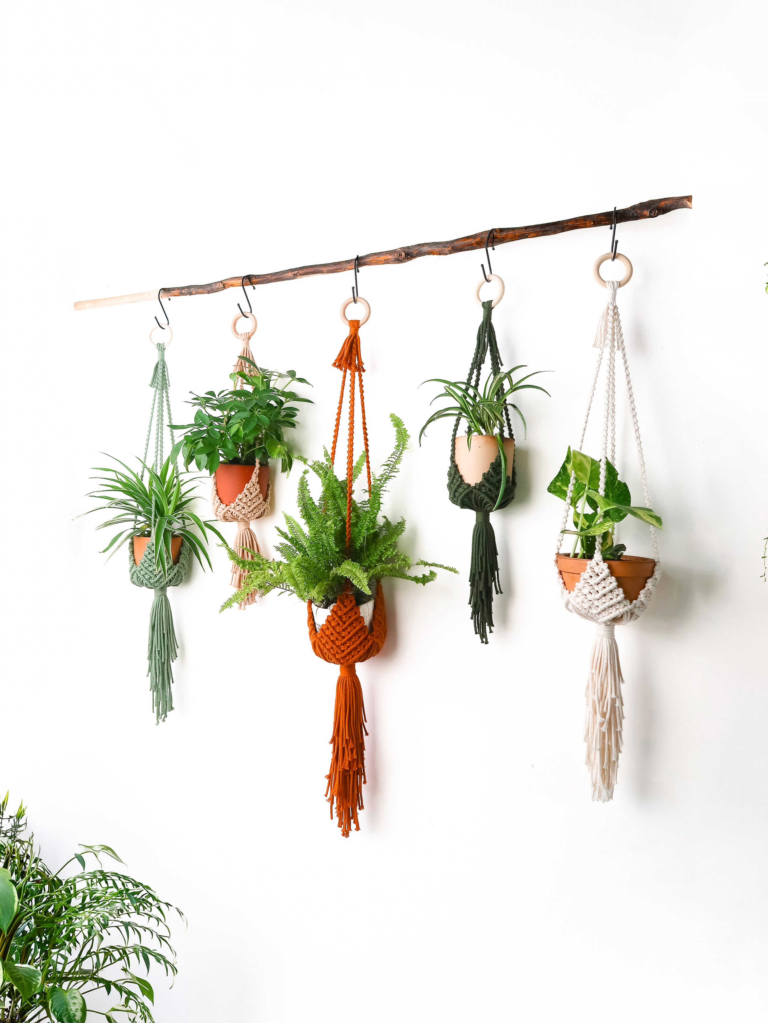 Five potted plants in macrame plant hangers suspended from a rustic wooden dowel against a white wall.