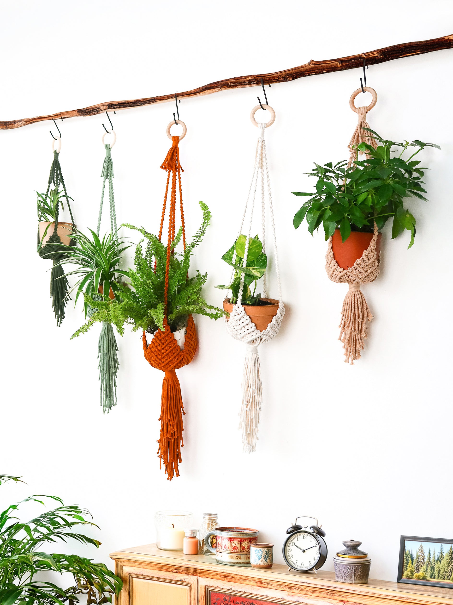 Four macrame plant hangers in green, orange, cream, and natural beige styles, hanging from a rustic wooden branch on a white wall. Each hanger holds a potted plant, with a wooden sideboard and decorative objects visible below.