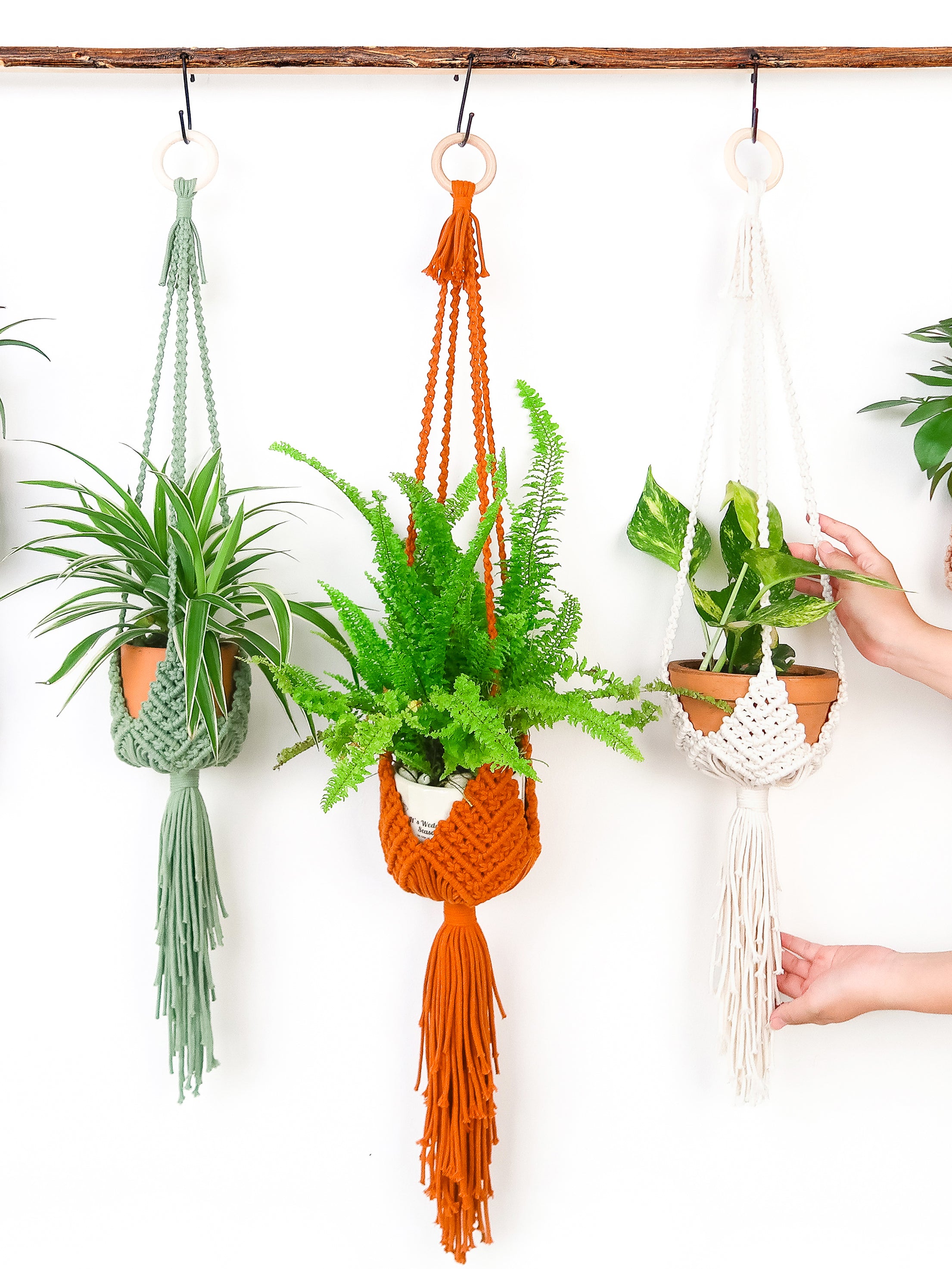 Three macrame plant hangers in sage green, burnt orange, and cream hang from a wooden rod against a white wall. Each hanger holds a small potted green plant in a terracotta pot.