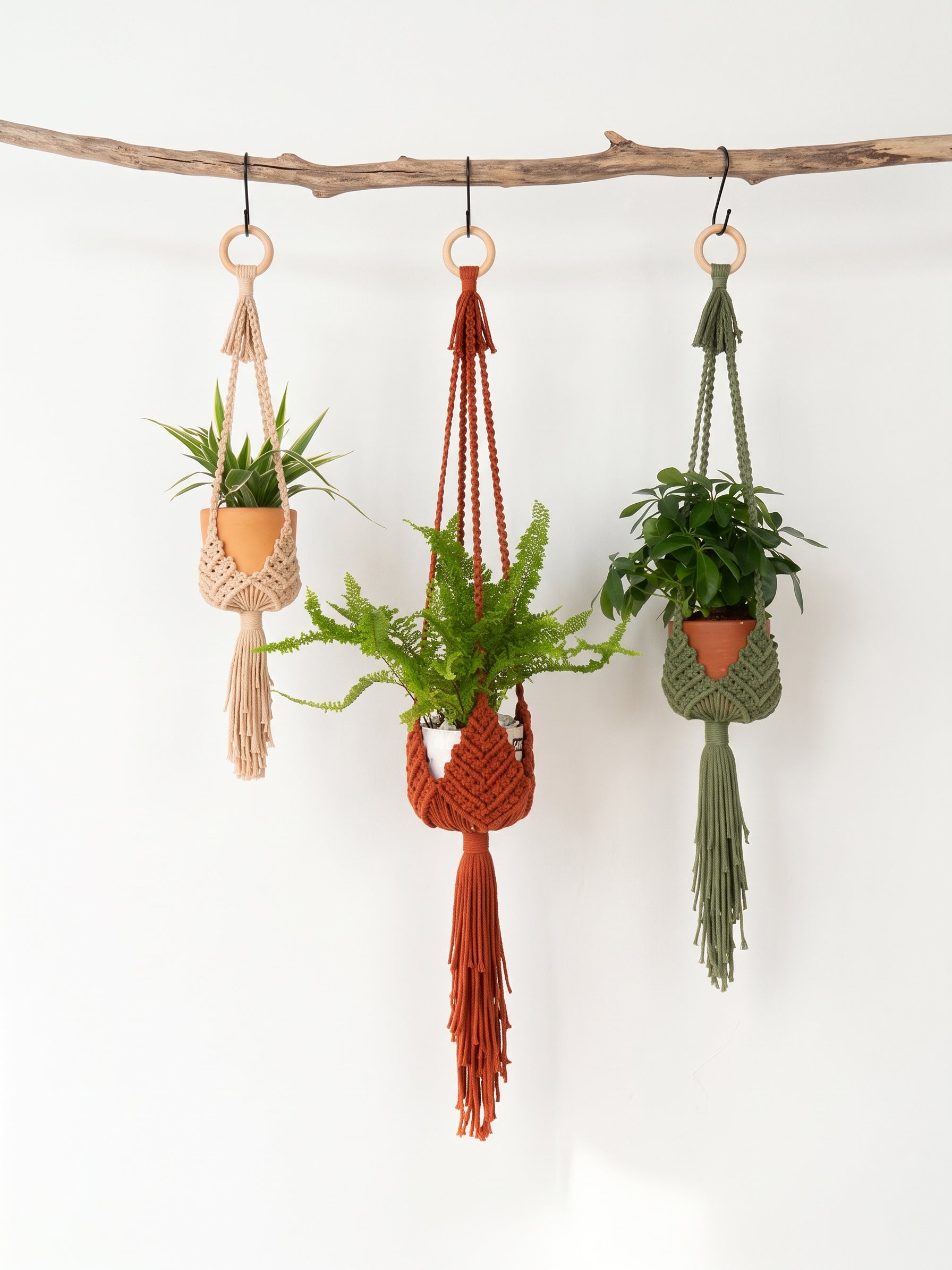 Bloom Botanical Macrame Plant Holder
