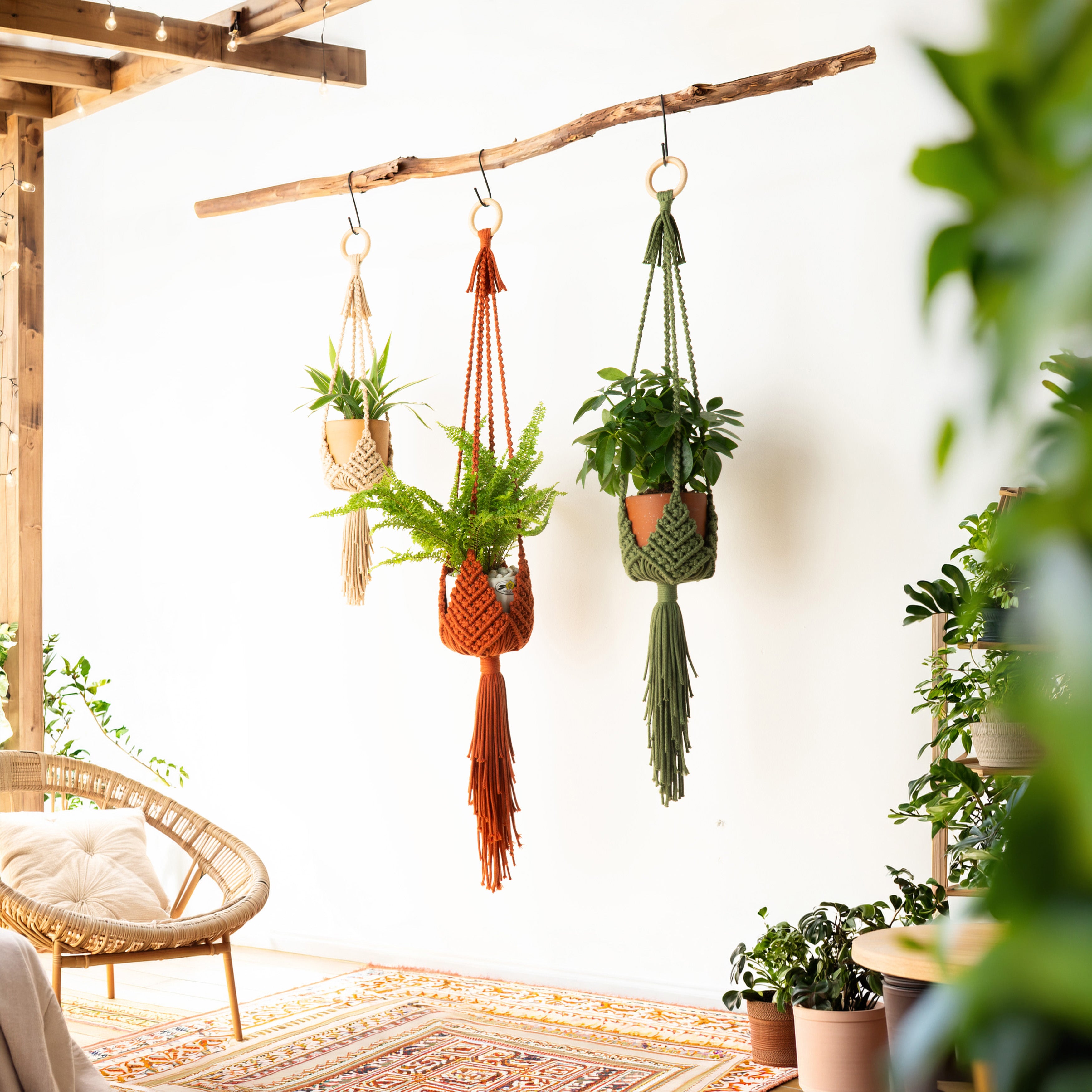 Three macrame plant hangers in cream, rust orange, and olive green hang from a rustic wooden beam in a bright, modern room with potted plants and a wicker chair.