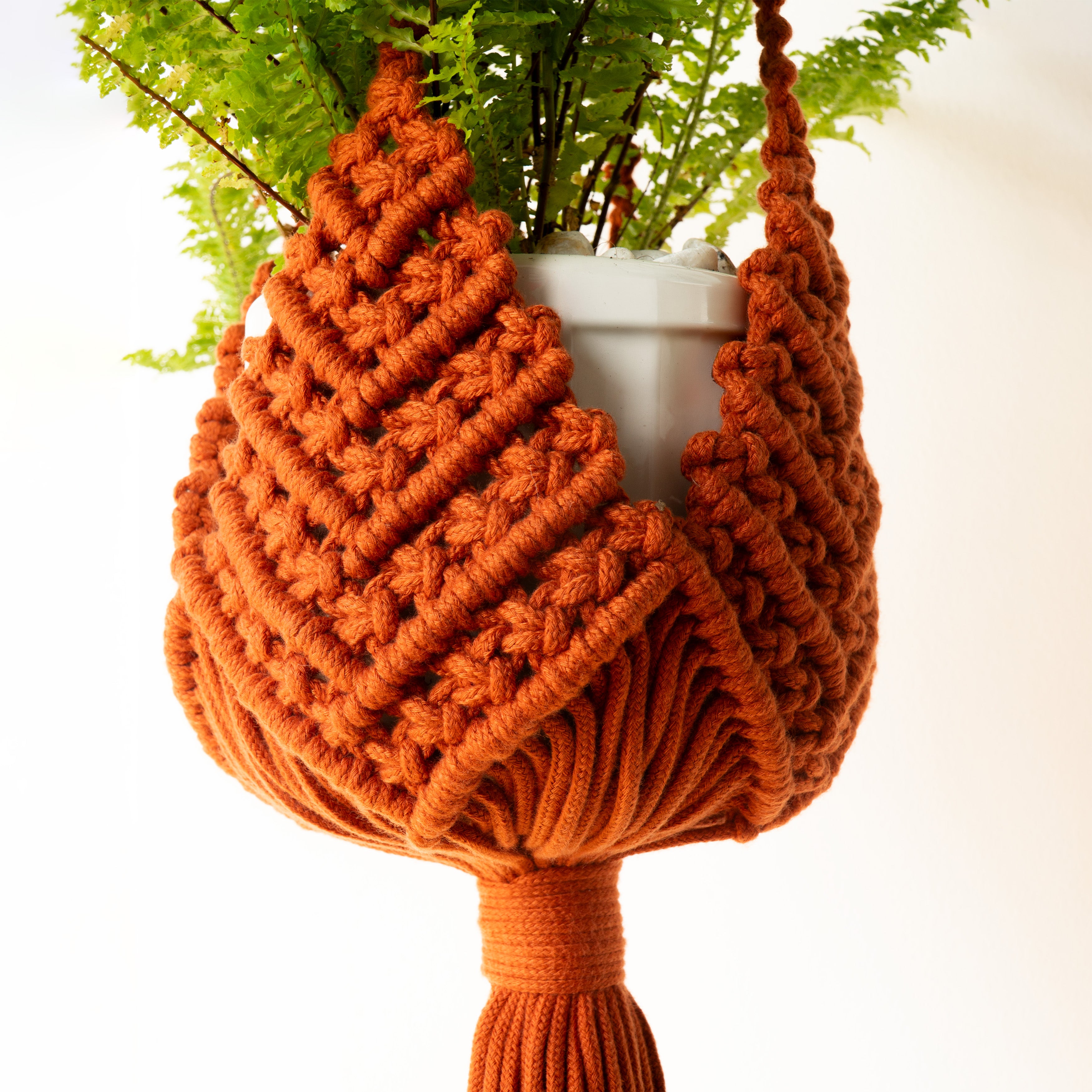 An orange macrame plant hanger holding a white pot with a green fern, set against a plain white background.
