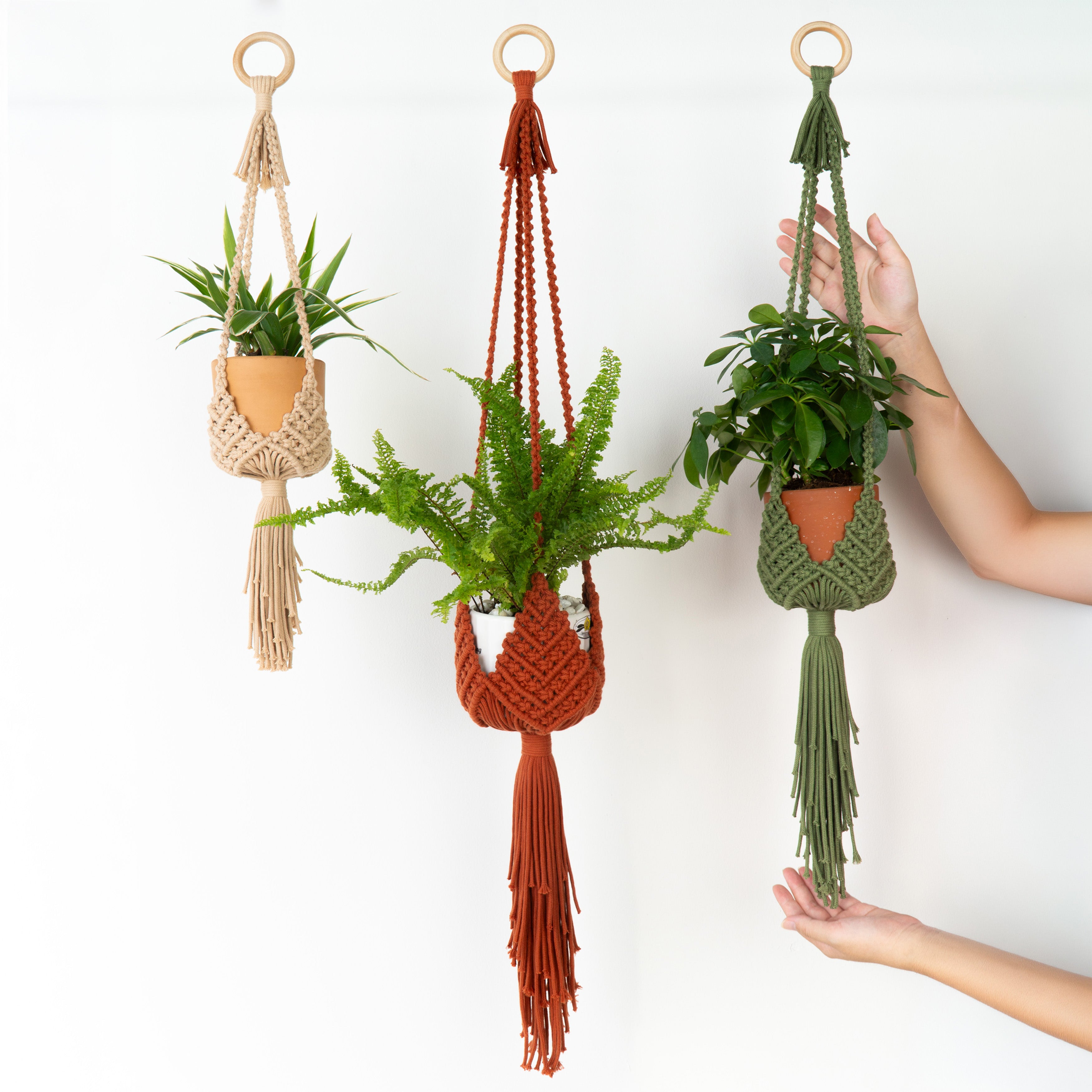 Three macrame plant hangers in beige, rust orange, and sage green, each holding a small potted plant and hanging from wooden rings against a white wall. A person's hands are visible holding the rightmost hanger and supporting the pot.