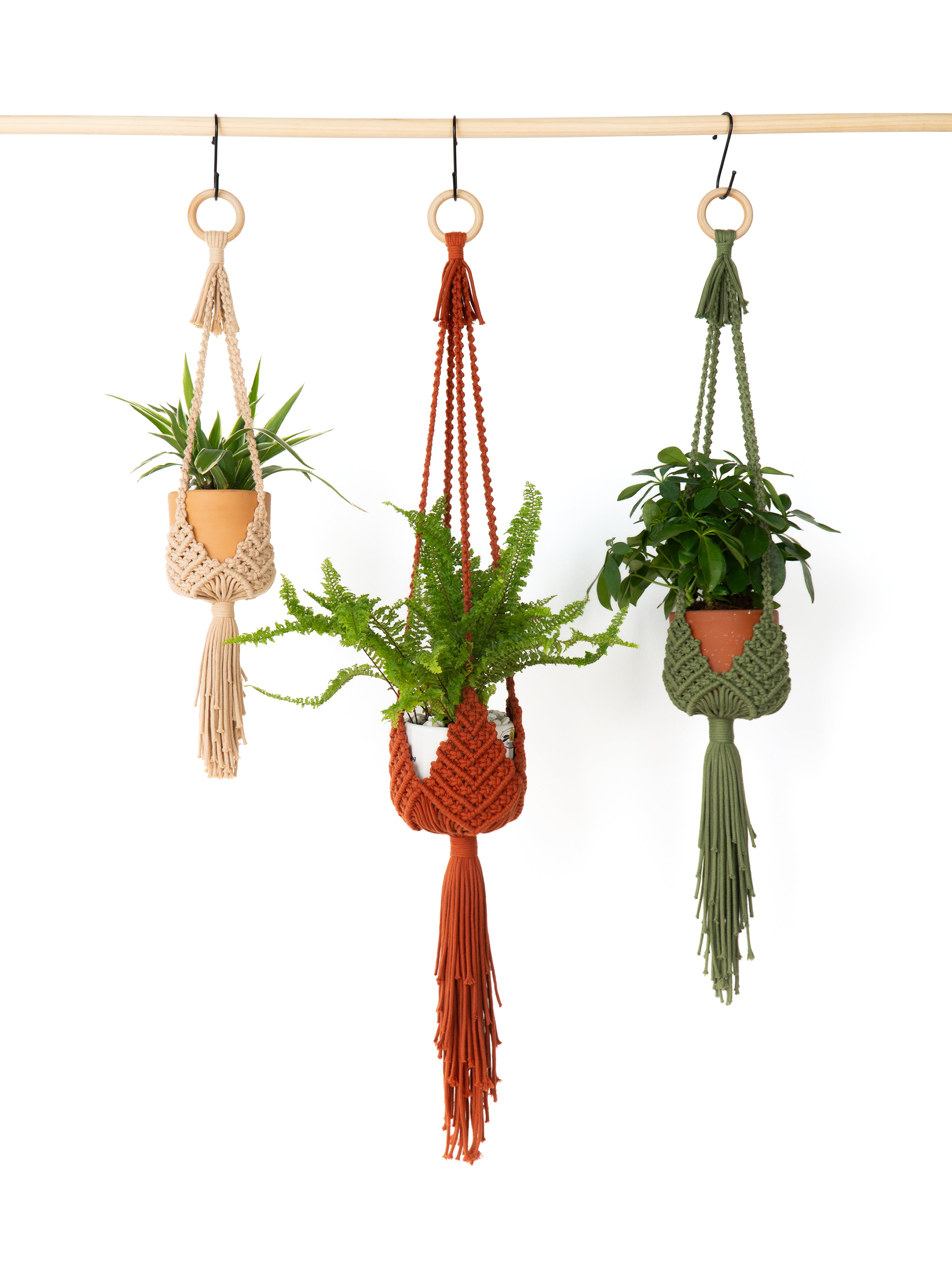 Bloom Botanical Macrame Plant Holder