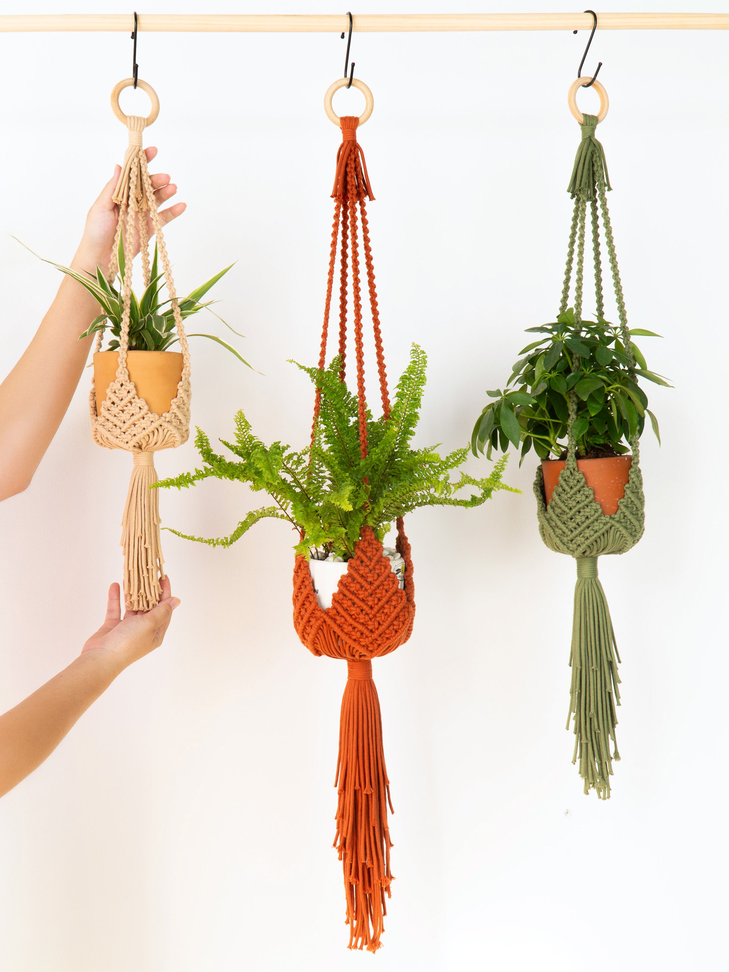 Three macrame plant hangers in beige, rust orange, and sage green hang from a wooden rod against a white wall. Two hands are visible holding the leftmost beige hanger, which contains a small green plant in a terracotta pot.