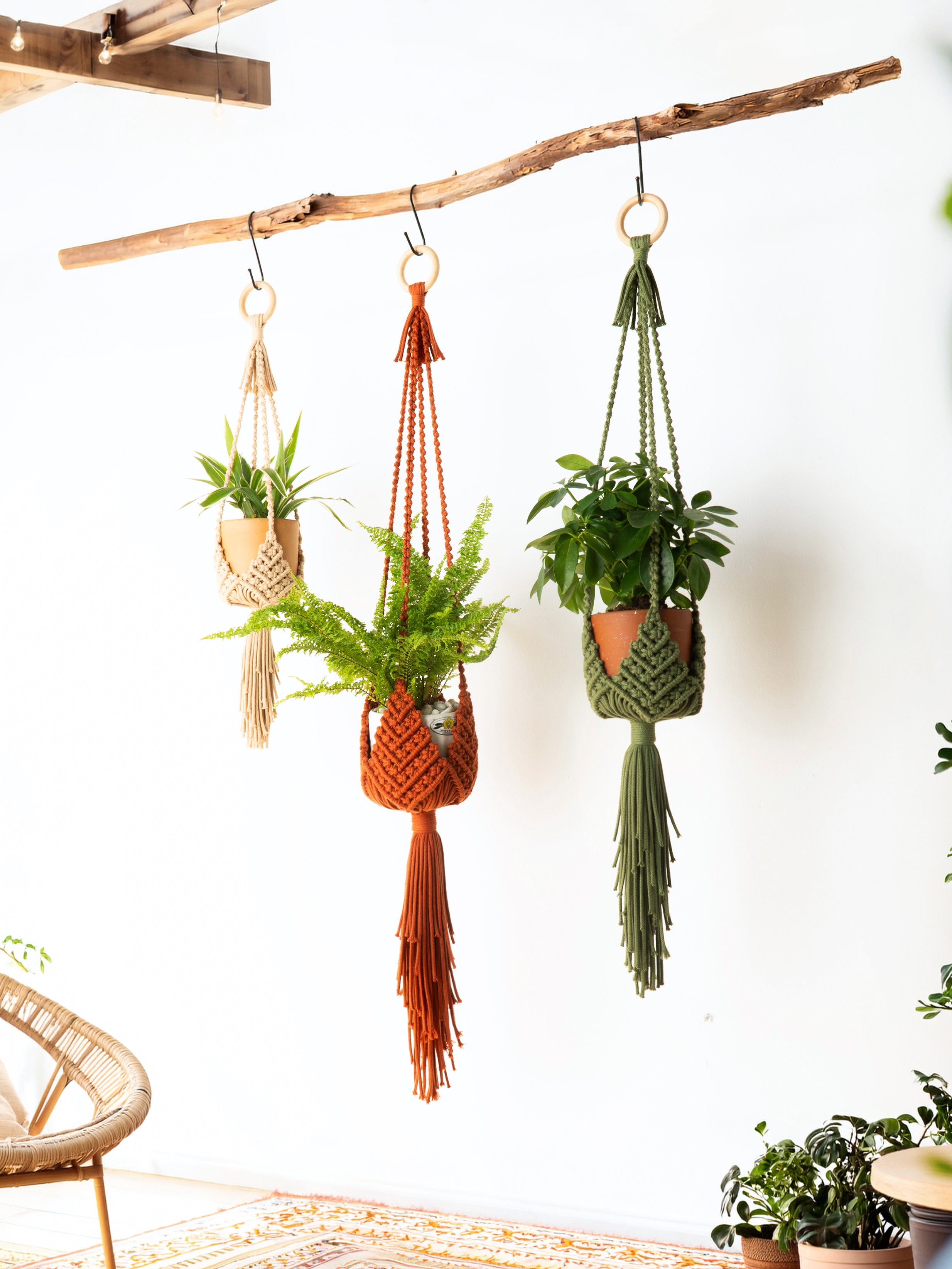 Three macrame plant hangers in beige, rust orange, and olive green hang from a rustic wooden branch against a white wall, each holding a small potted plant.