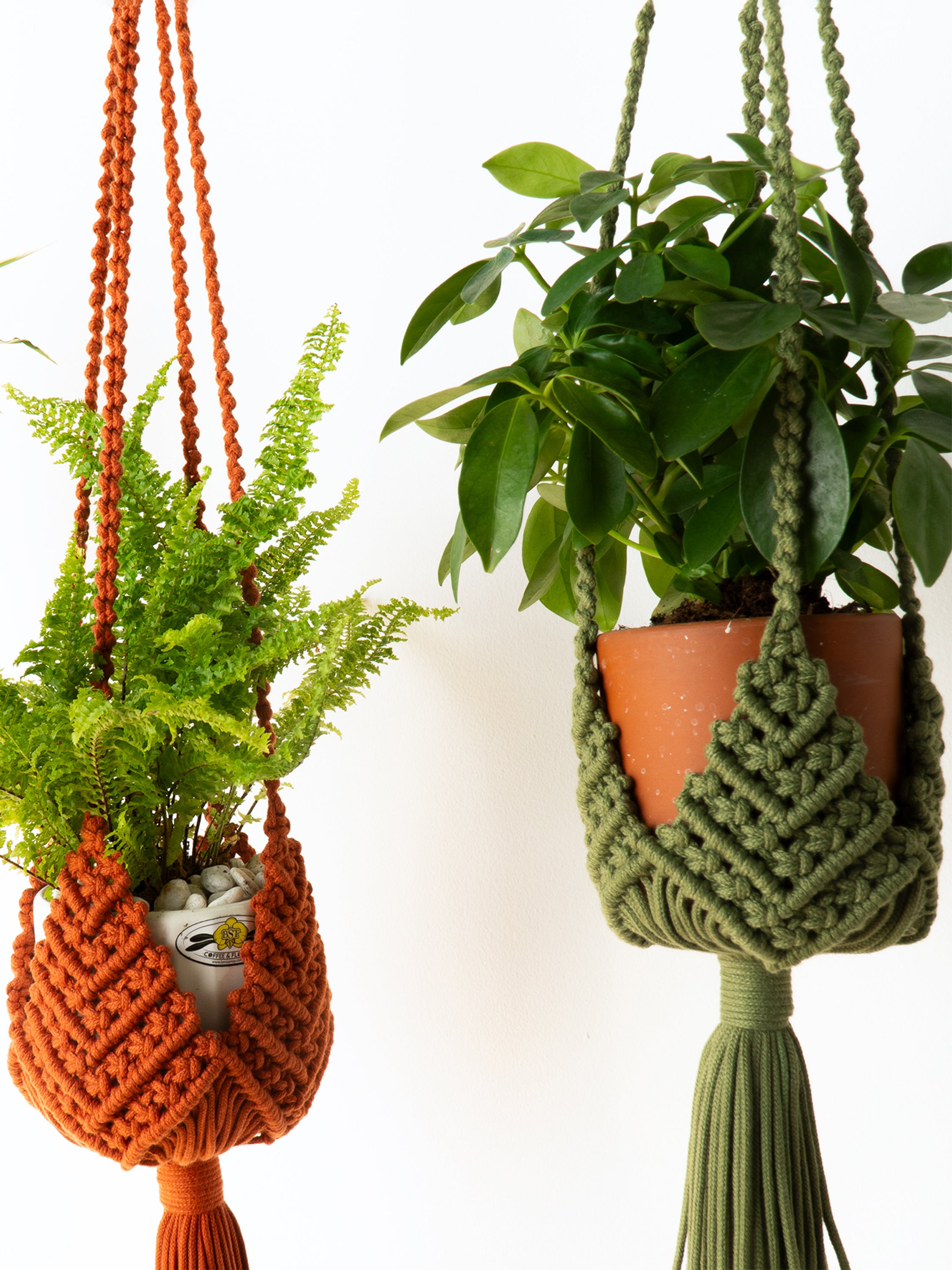 Two macrame plant hangers hanging against a white wall, one in rust orange holding a green fern in a white pot, and the other in olive green holding a leafy plant in a terracotta pot.