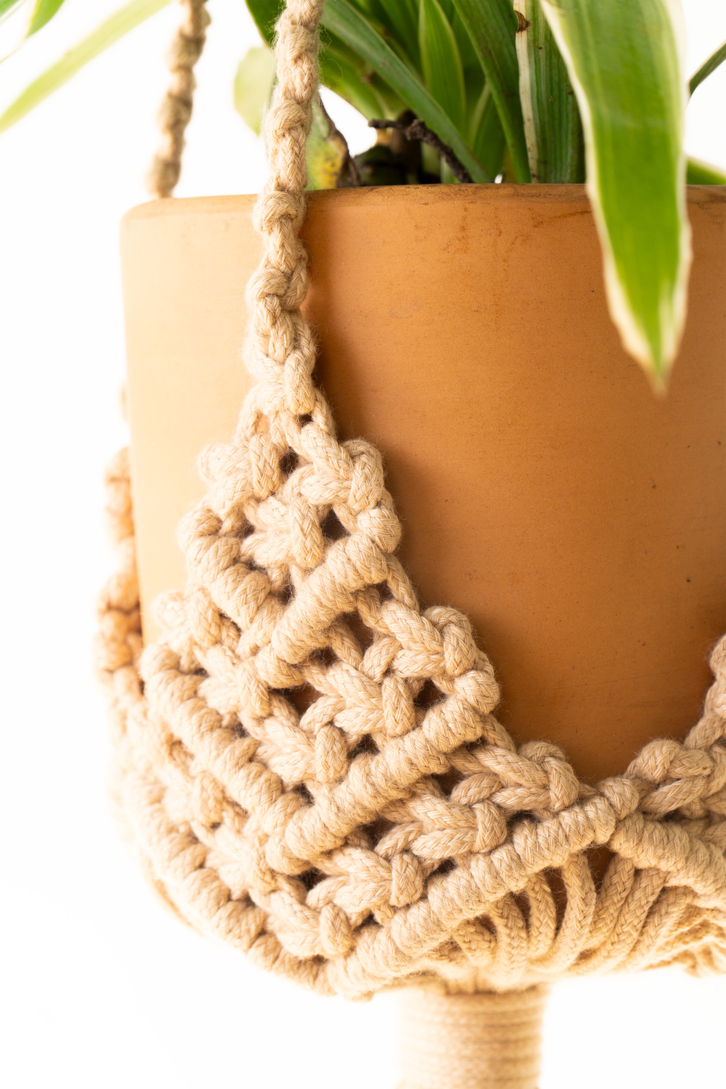 A close-up of a terracotta-colored ceramic planter pot wrapped in a beige macrame plant hanger, with green plant leaves visible at the top against a white background.