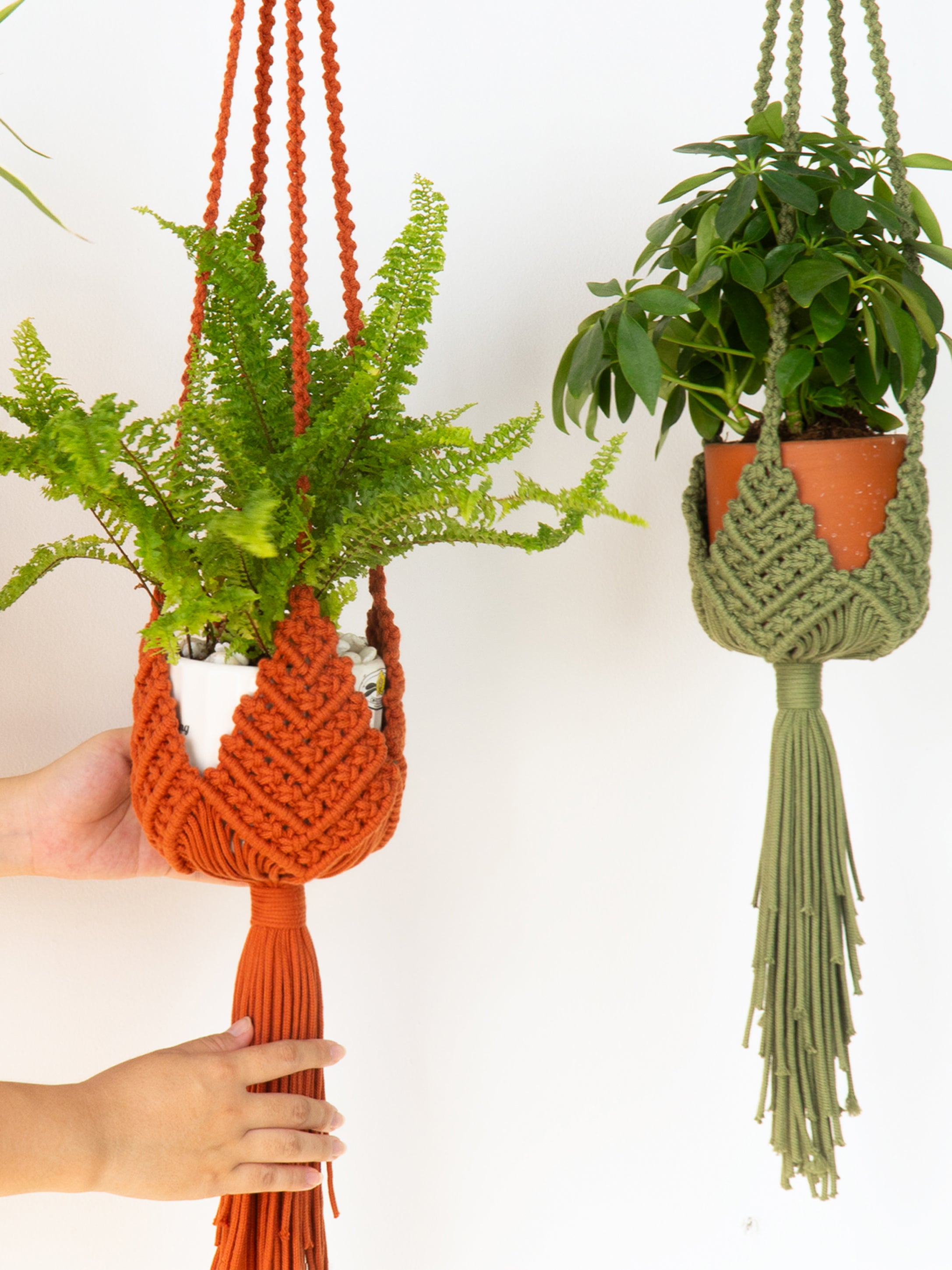 Two macrame plant hangers shown against a plain white wall, one orange being held by hands on the left and one sage green hanging on the right. Both hangers are styled with potted plants.