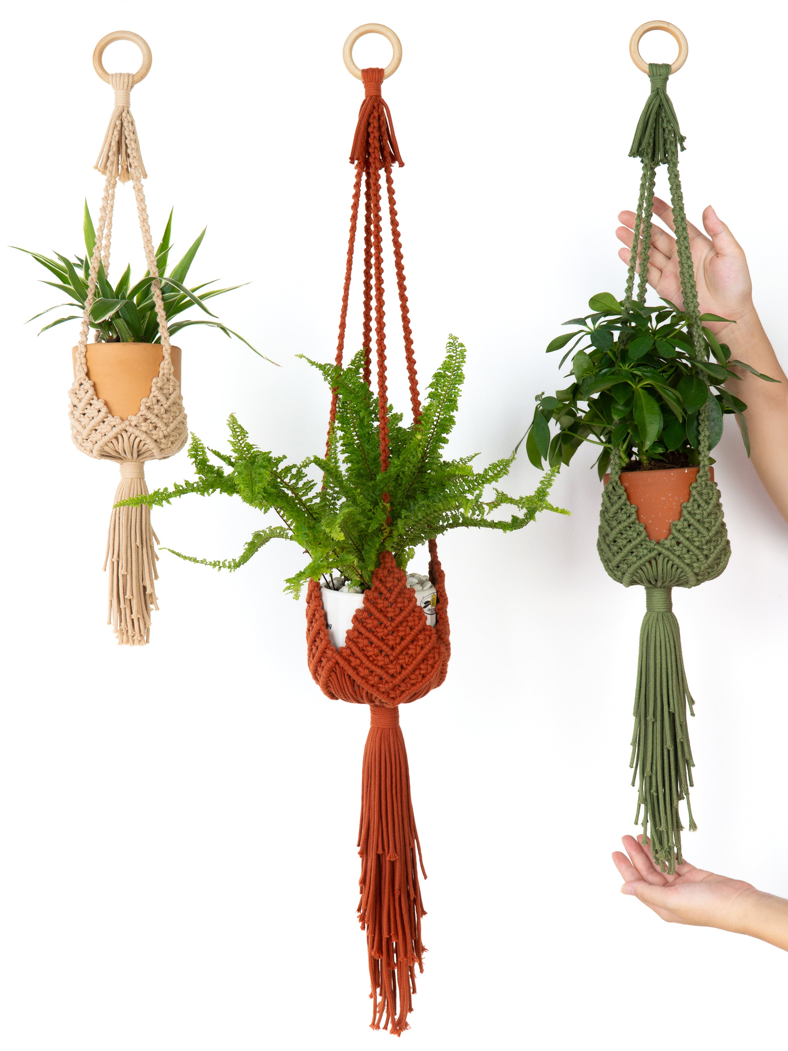 Three macrame plant hangers in beige, rust orange, and sage green, each holding a small potted plant, displayed against a white background. A person's hands are visible on the right side holding the sage green hanger.