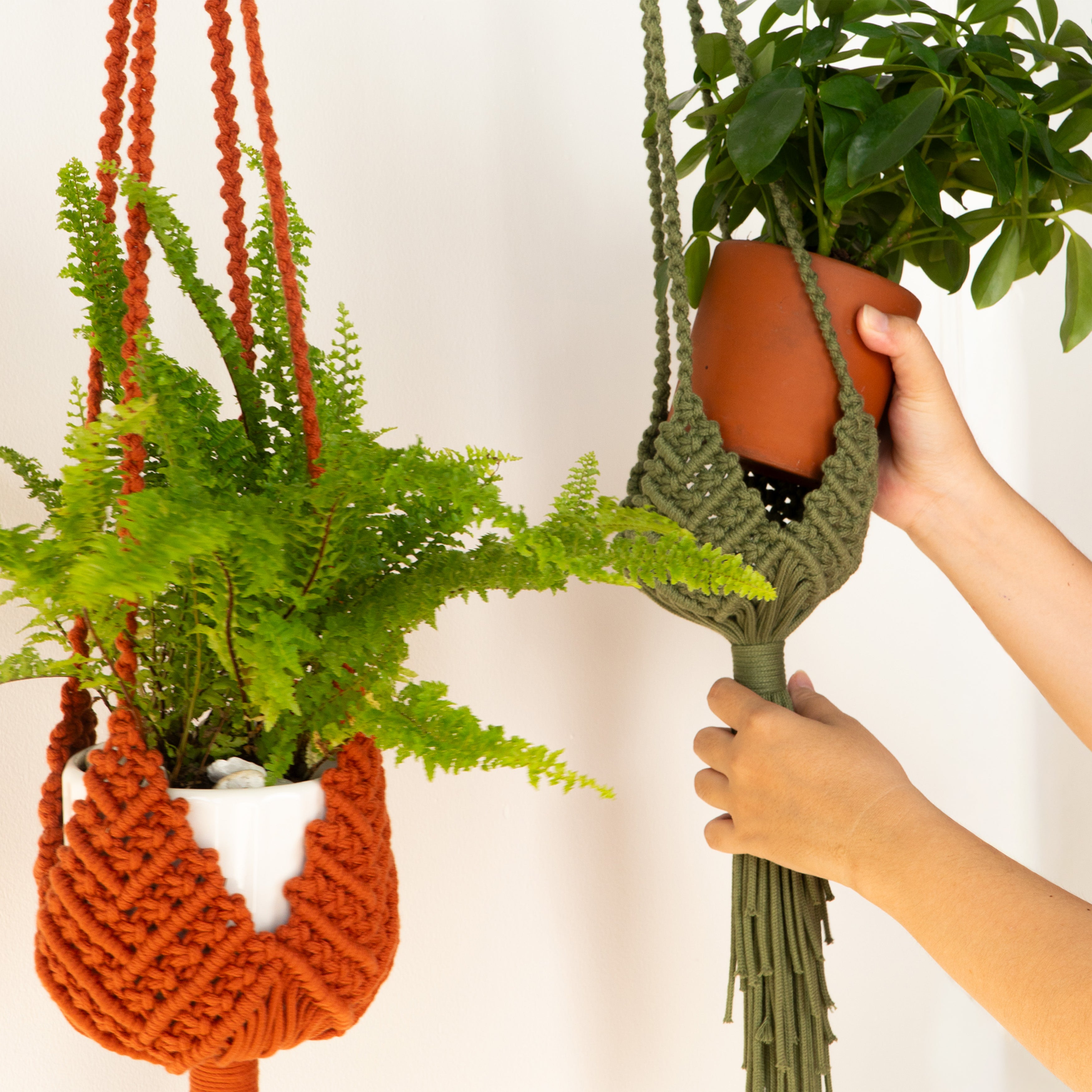 Two knotted macrame plant hangers shown against a plain light background, with green plants in terracotta and white pots. A person's hands are visible holding and adjusting the right-side hanger.