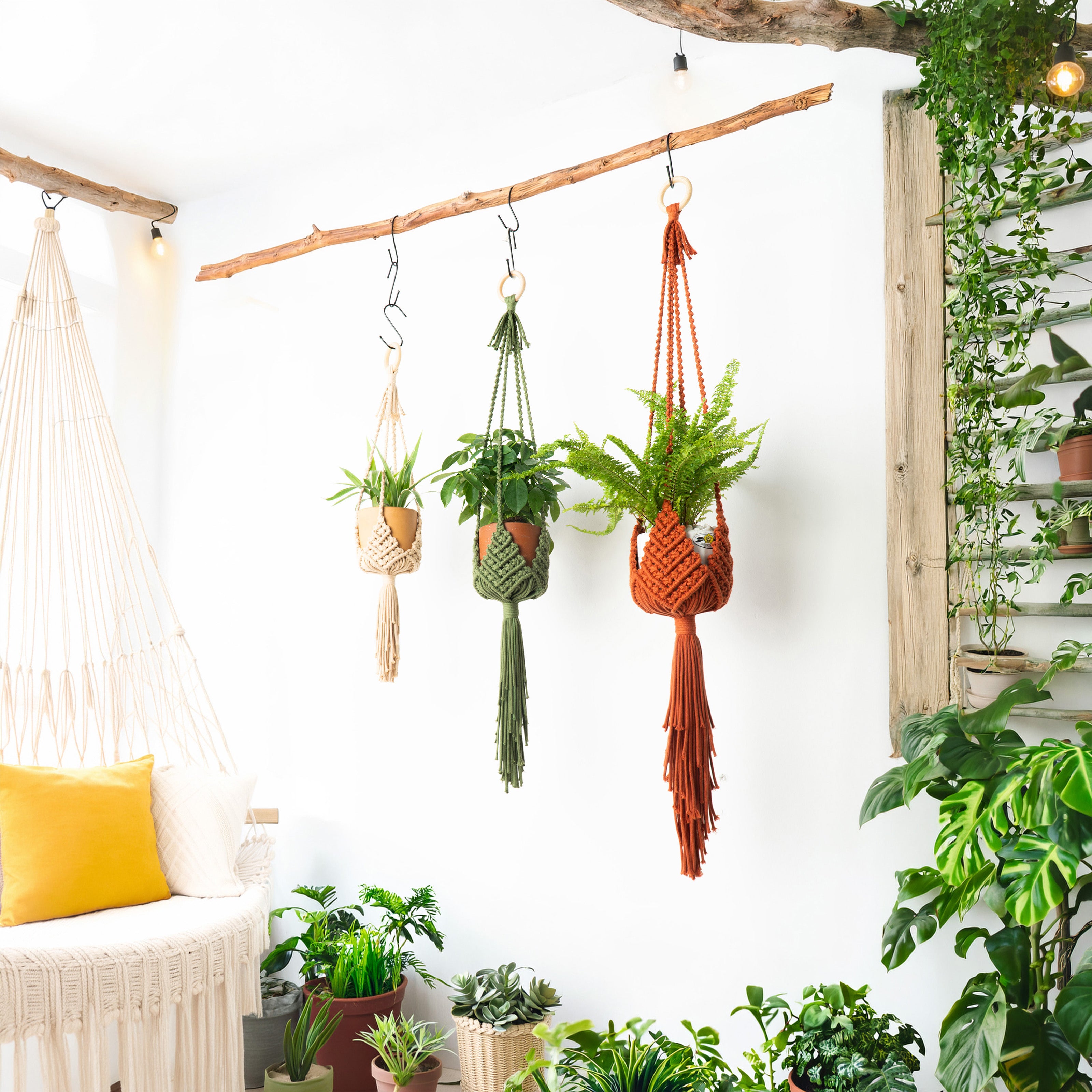 Three macrame plant hangers in cream, green, and terracotta hanging from a rustic wooden branch in a bright, modern room with a white wall, a cream macrame chair, and lush green plants.