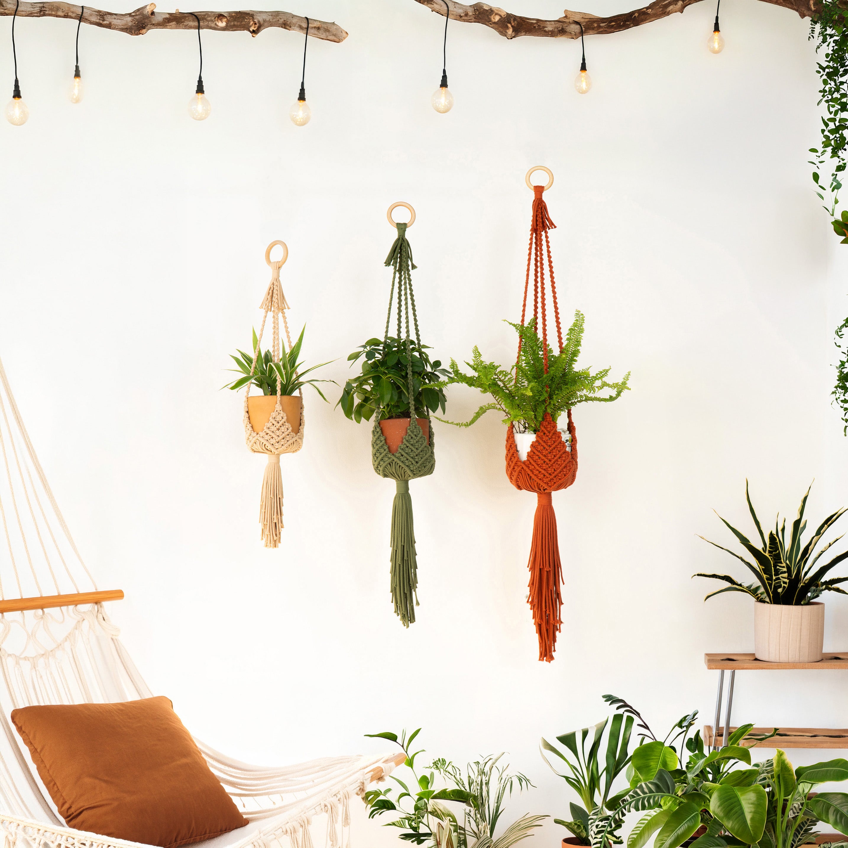 Three macrame plant hangers in beige, olive green, and rust orange hang on a white wall in a bright, modern room. Each hanger holds a green potted plant and is styled with a wooden ring at the top and bottom.