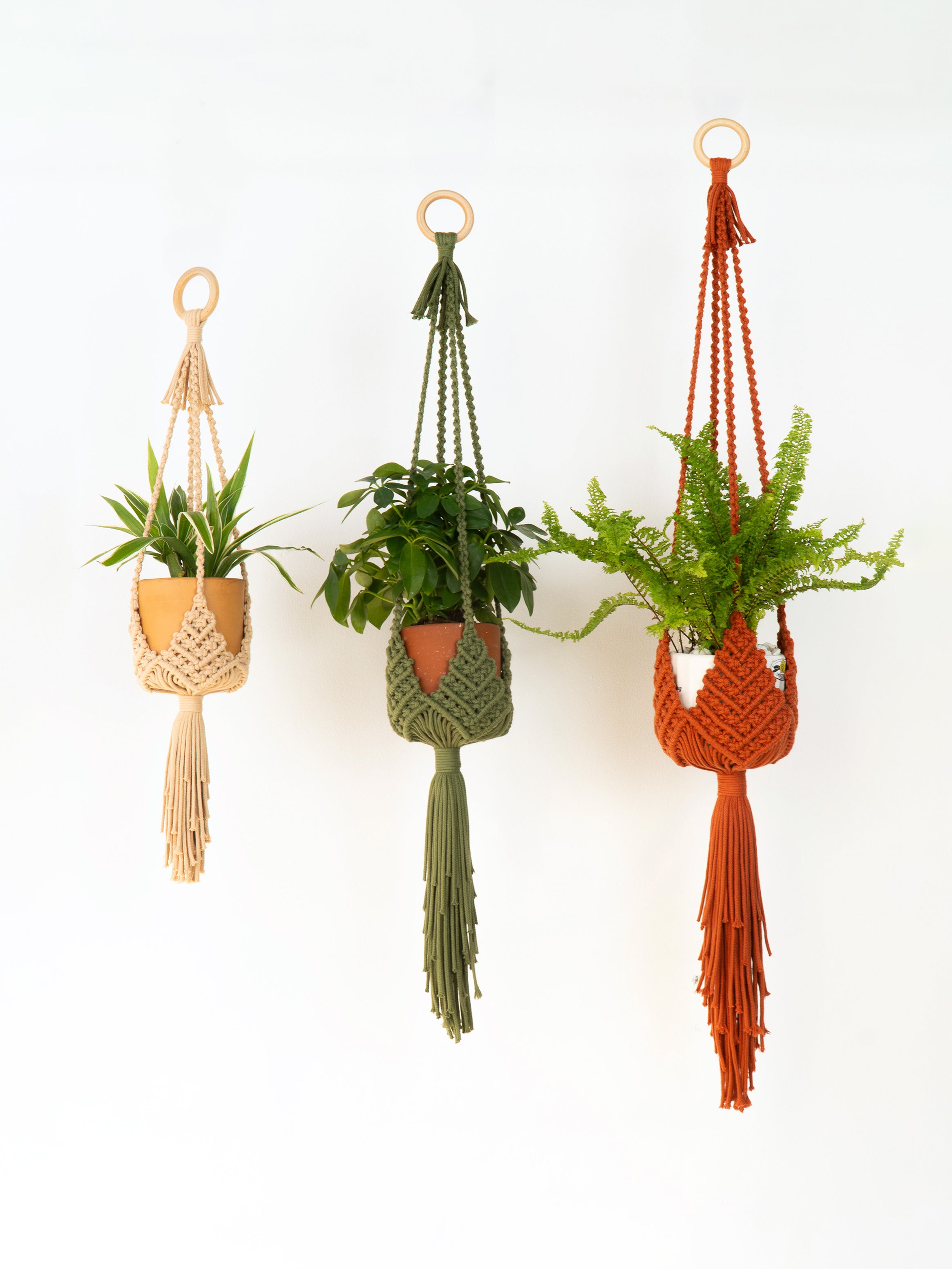 Bloom Macrame Plant Hangers Wood Rings