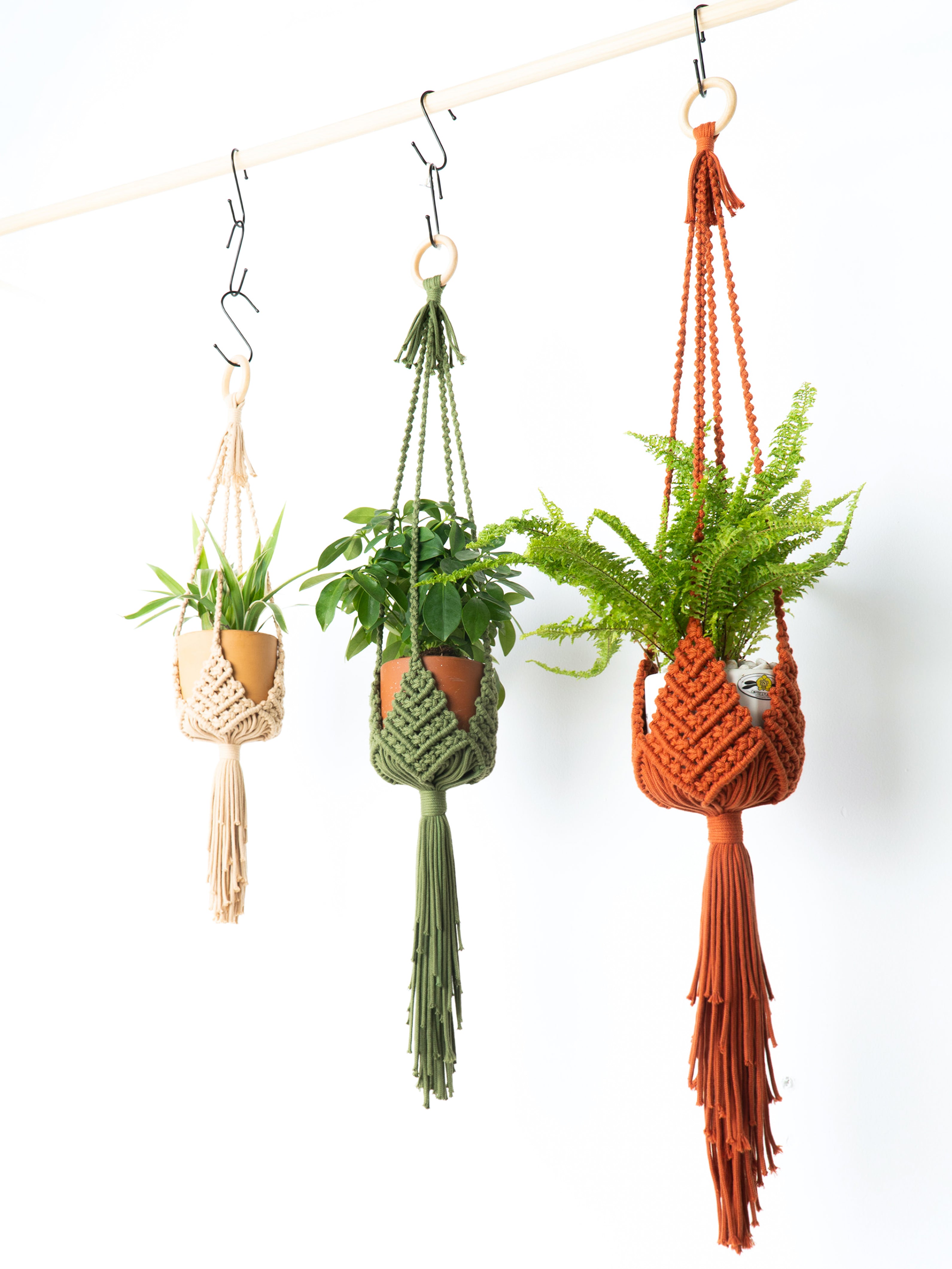Three macrame plant hangers in beige, green, and rust orange, each holding a small potted green plant, hanging from a white rod against a white wall.