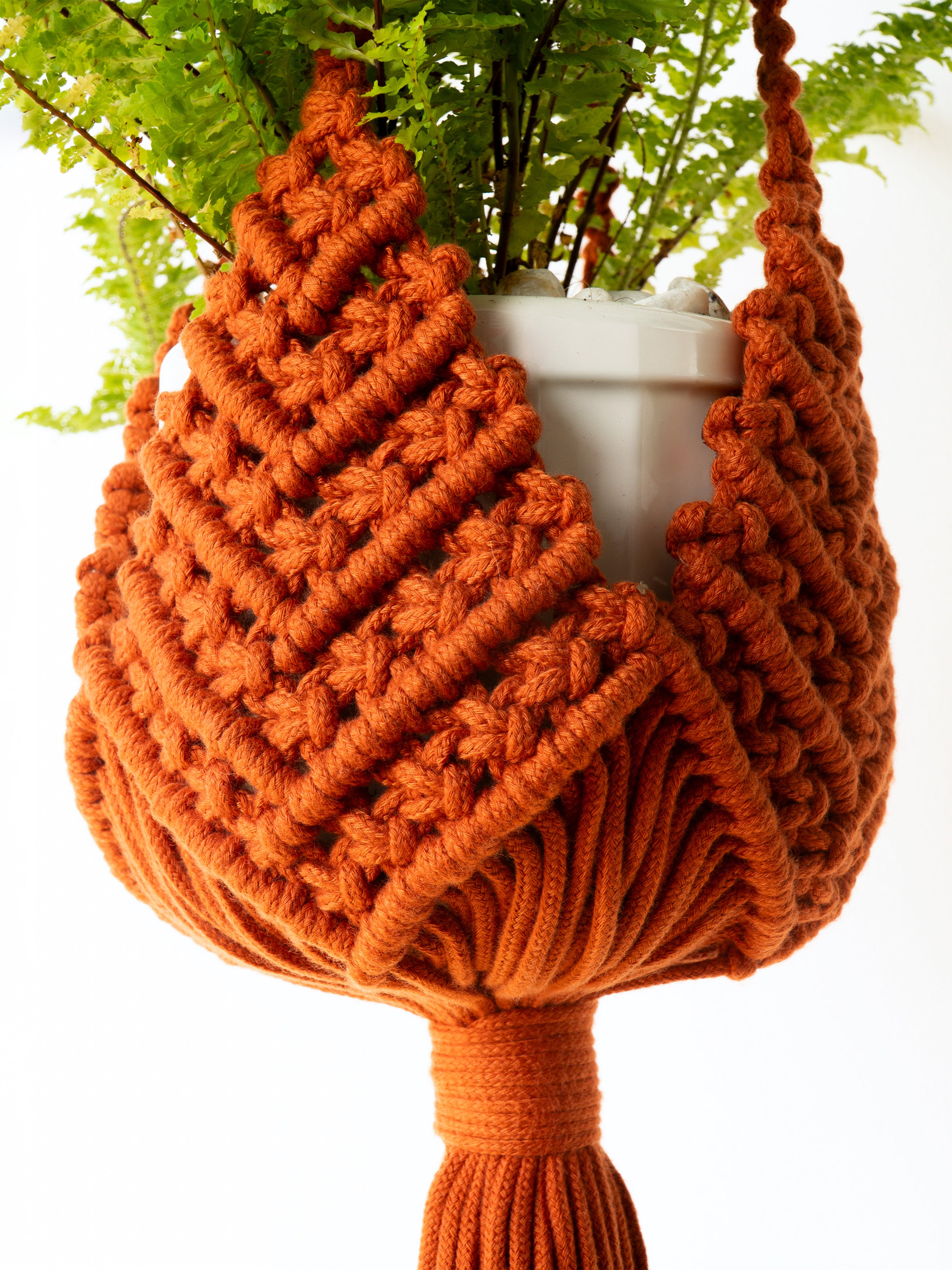 An orange macrame plant hanger holding a white pot with green fern leaves, set against a clean white background.