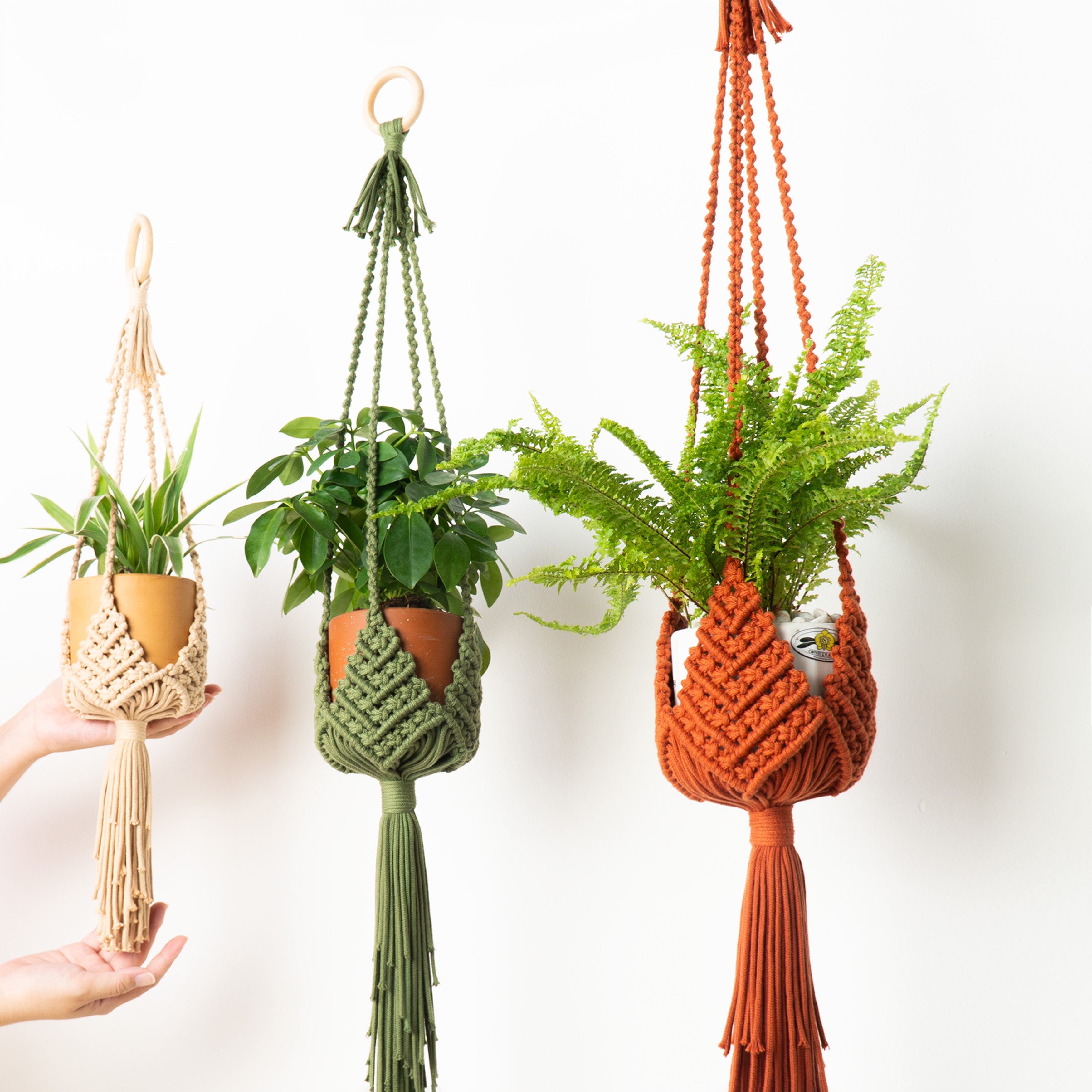 Three macramé plant hangers in cream, sage green, and rust orange, each holding a small potted plant, shown against a plain white wall. A hand is visible holding the leftmost hanger.