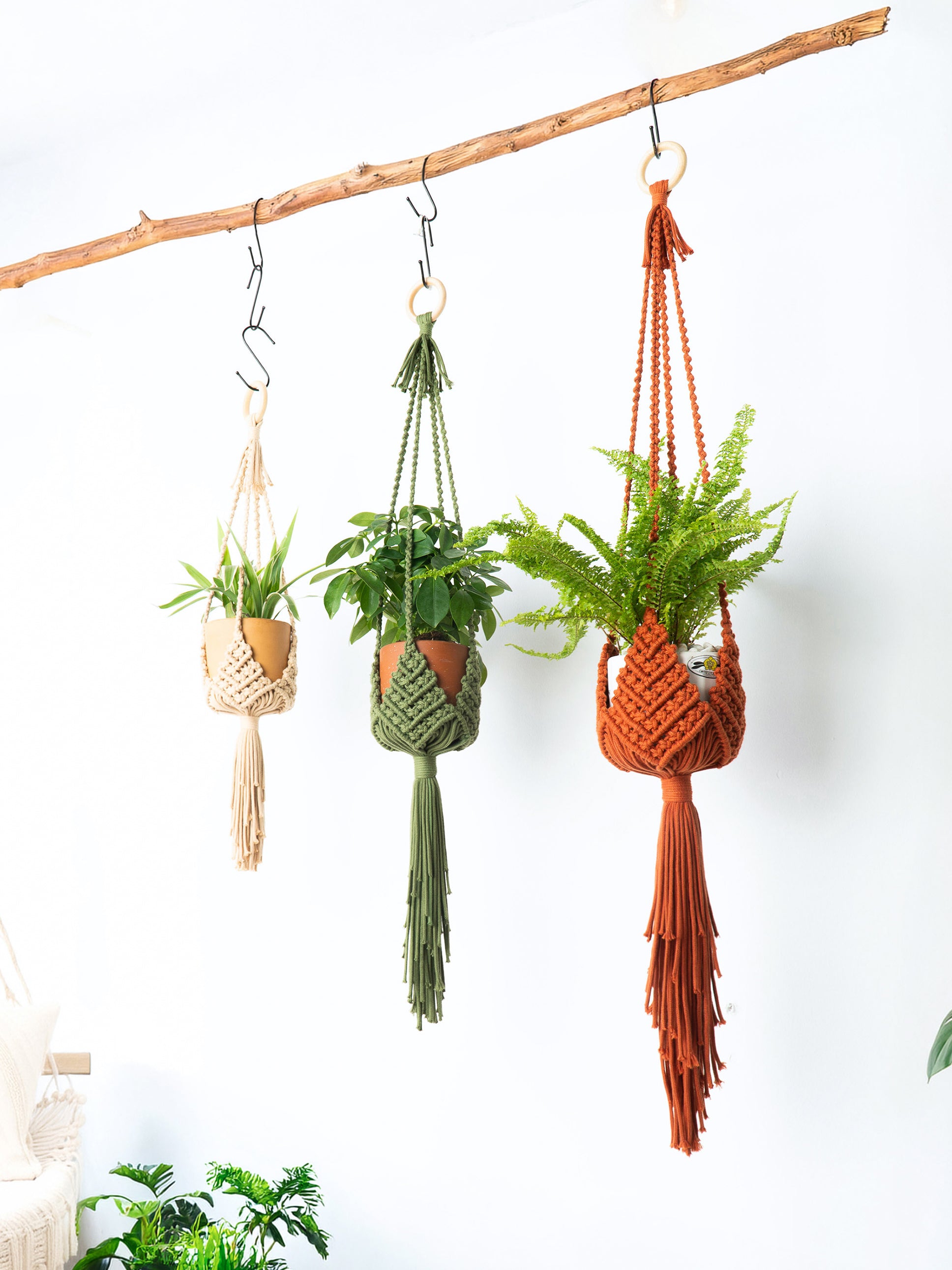 Three macrame plant hangers in beige, green, and rust orange hang from a natural wood branch against a white wall, each holding a small potted plant.