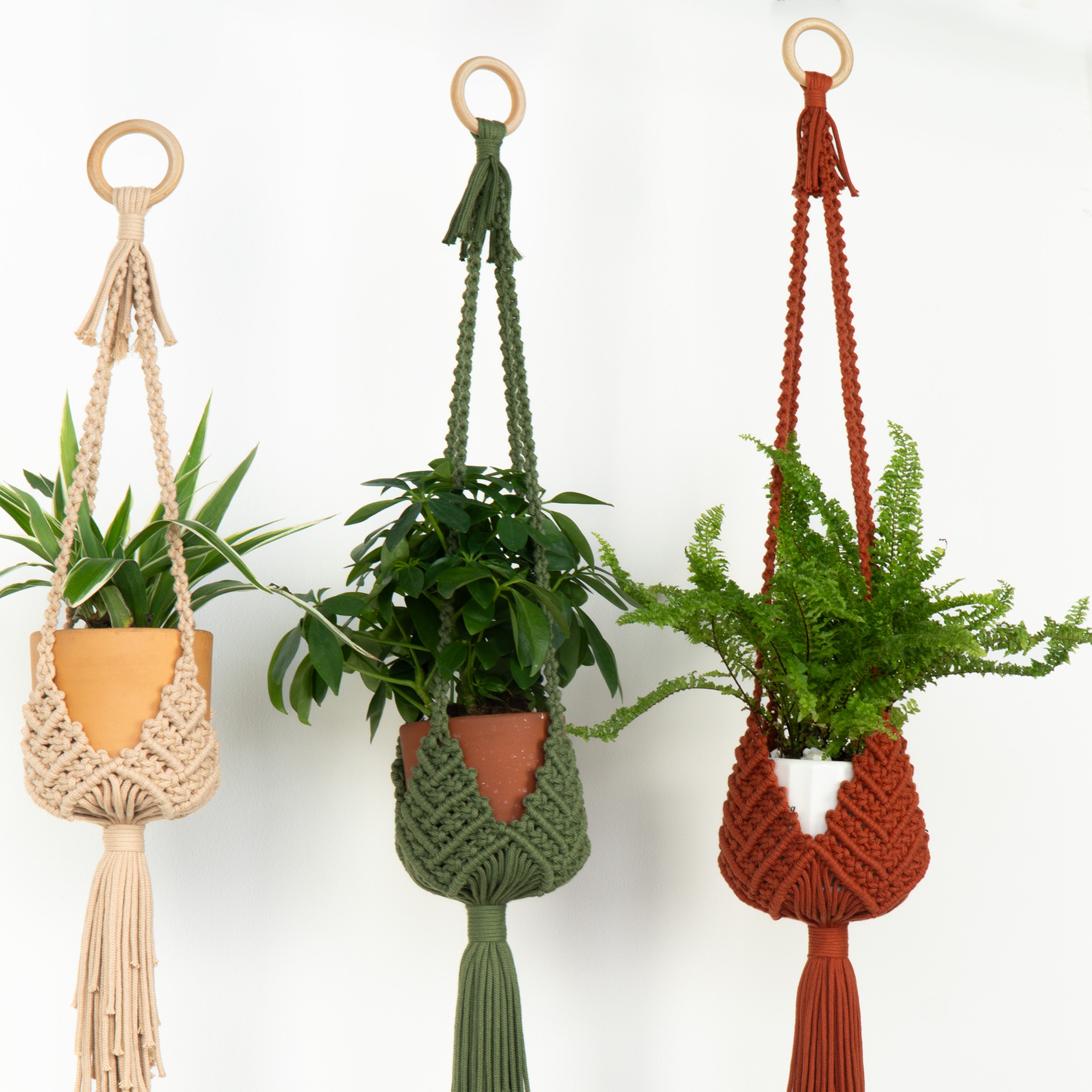 Three macrame plant hangers in beige, olive green, and terracotta rust, each holding a potted plant, displayed against a clean white background.
