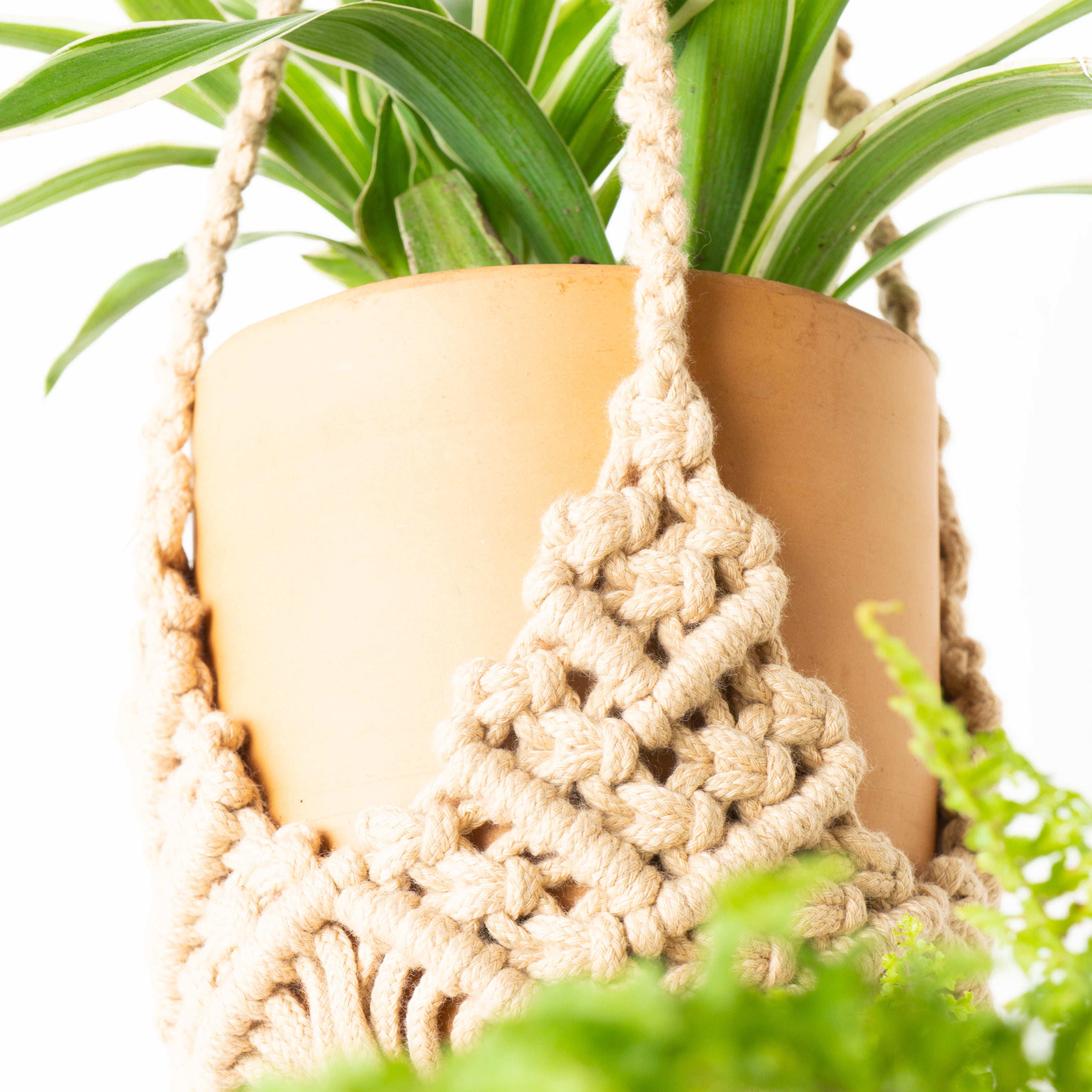 A beige macrame plant hanger holding a tan pot with green plant leaves, shown against a bright white background with some green foliage in the foreground.