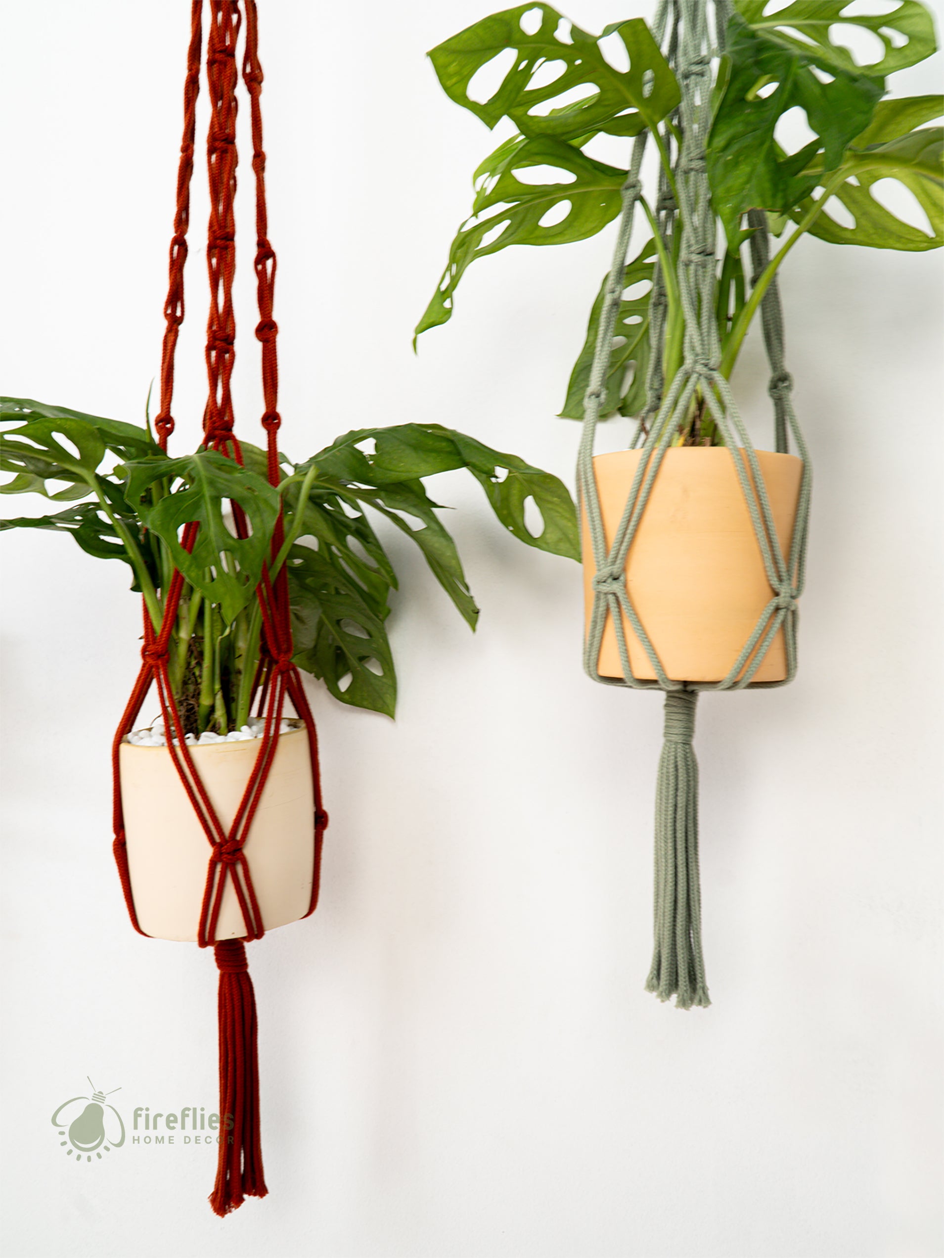 Two hanging planters with macrame hangers on a white background