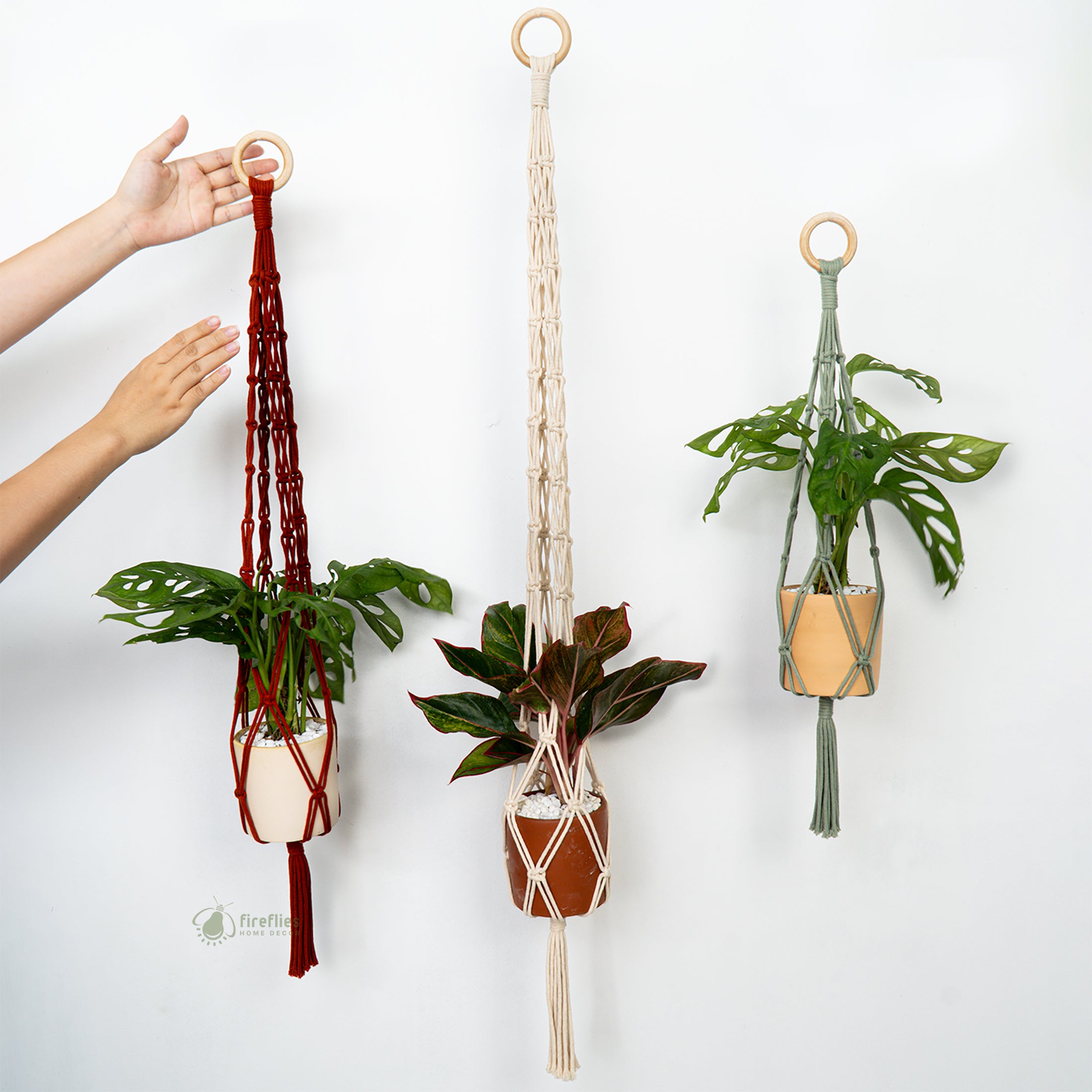 Three hanging planters with different designs on a white background
