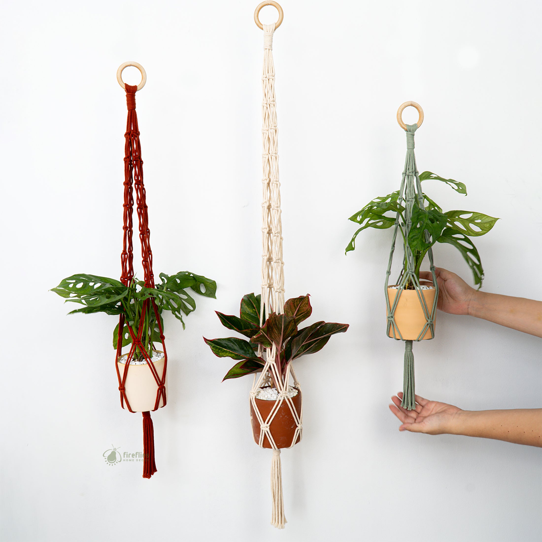 Three macrame plant hangers with plants on a white background