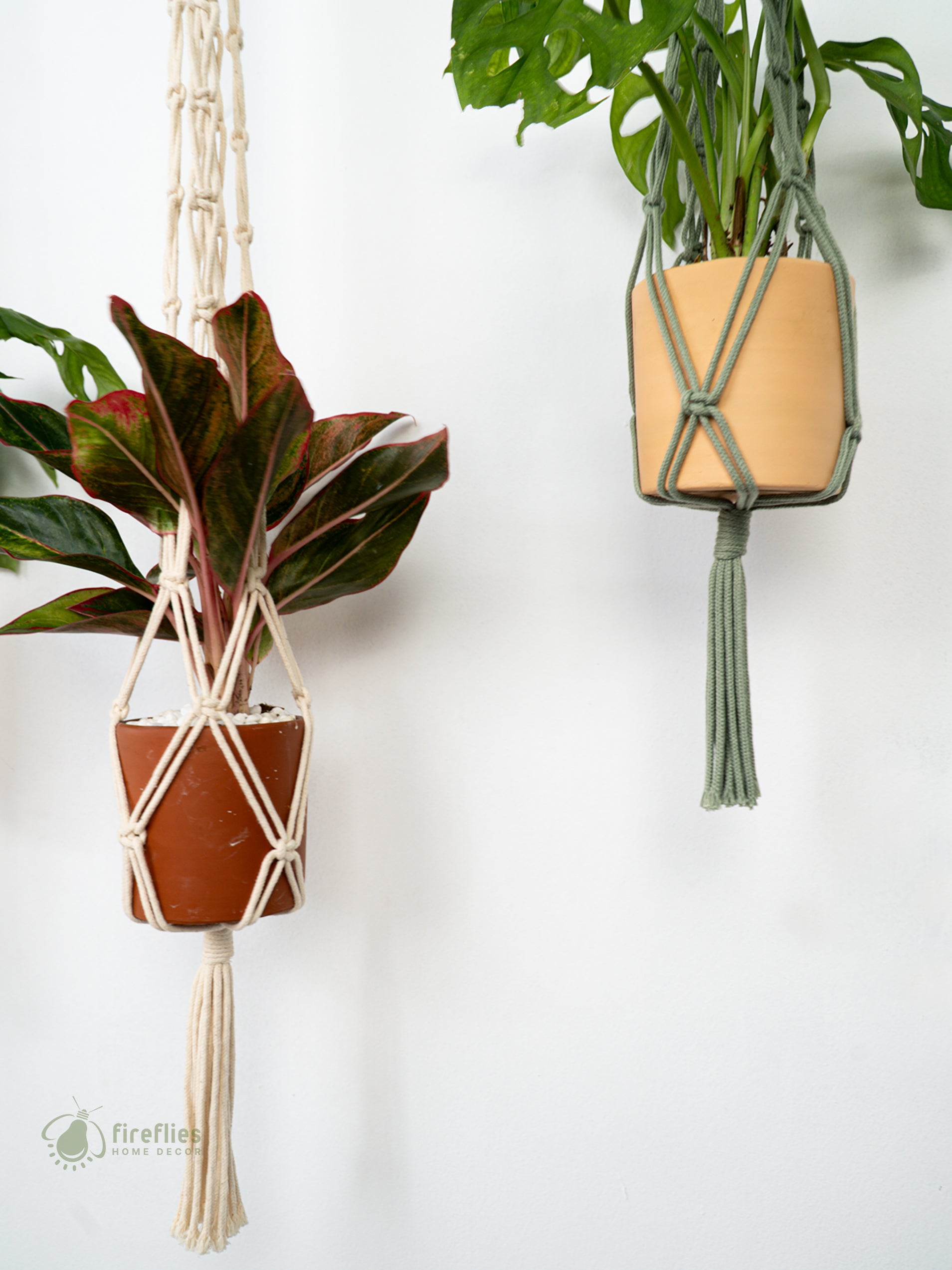 Two macrame plant hangers with plants against a white background