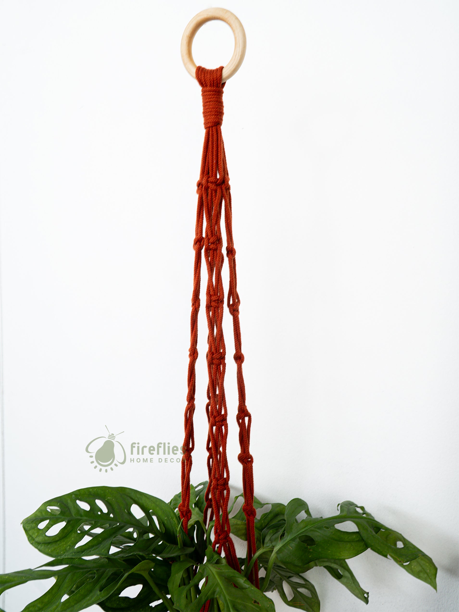 Red plant hanger with wooden rings on a white background