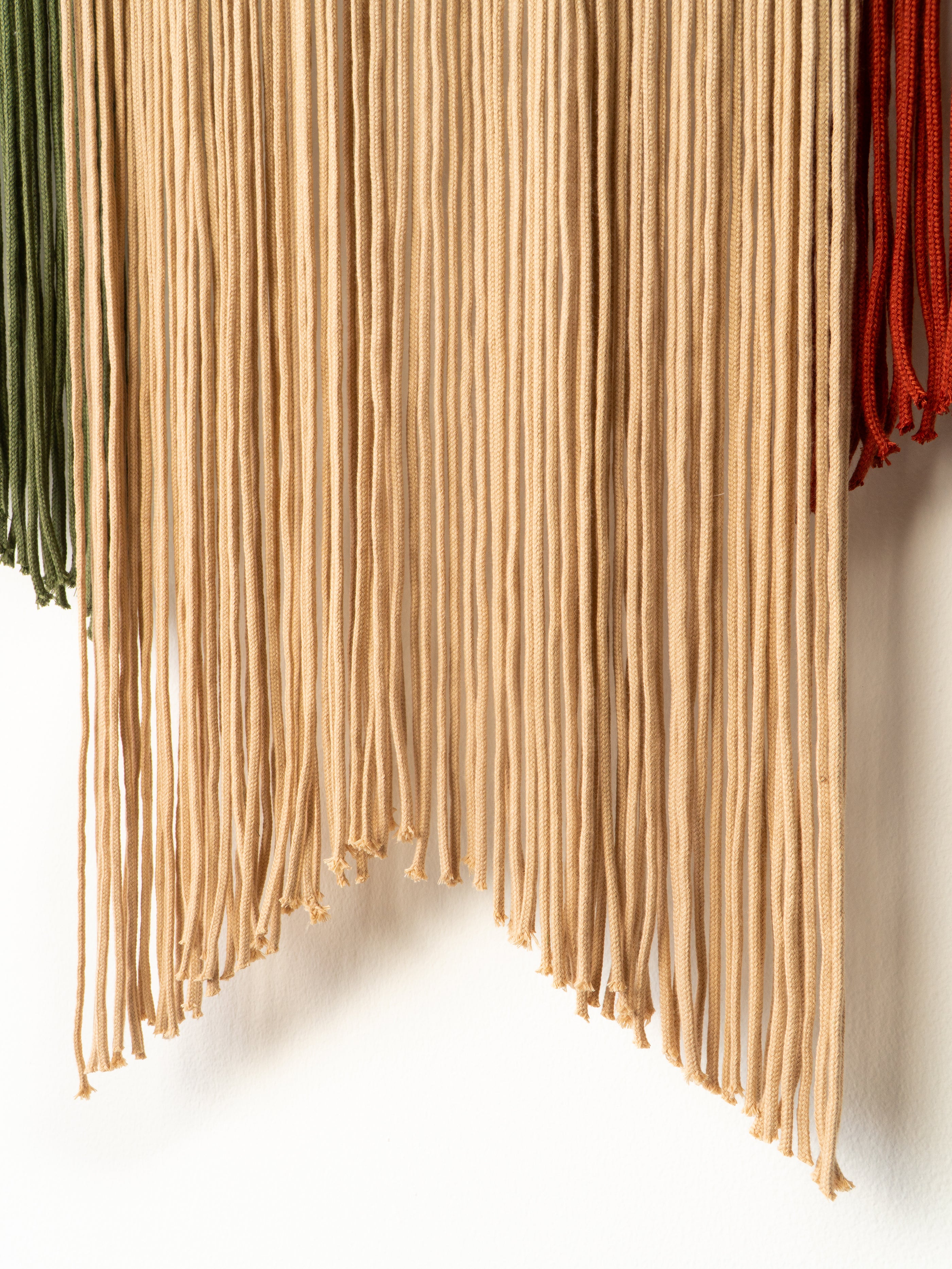 Close-up of uncooked pasta in various colors on a white background