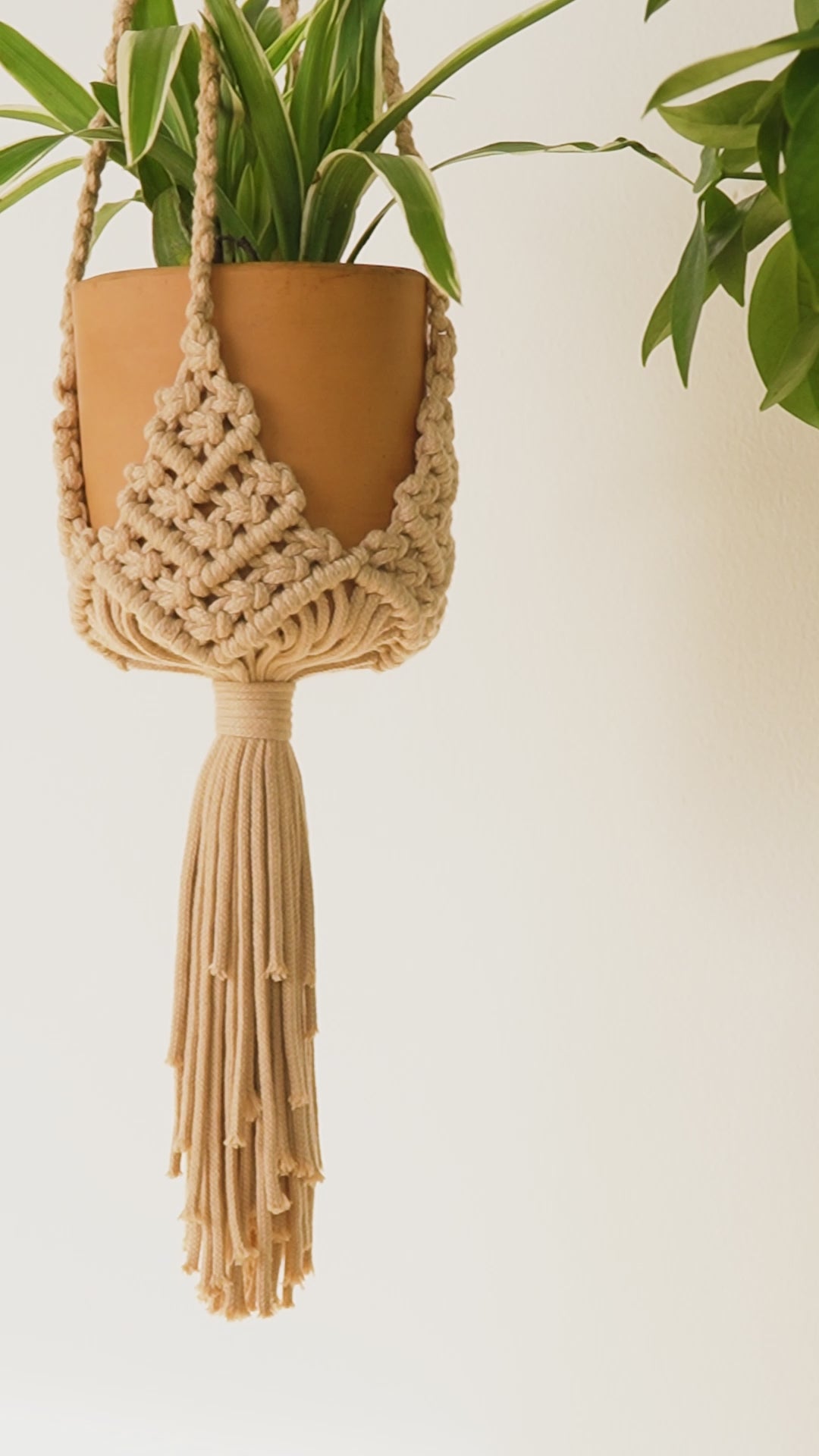 Macrame plant hangers made in colorful cotton cords