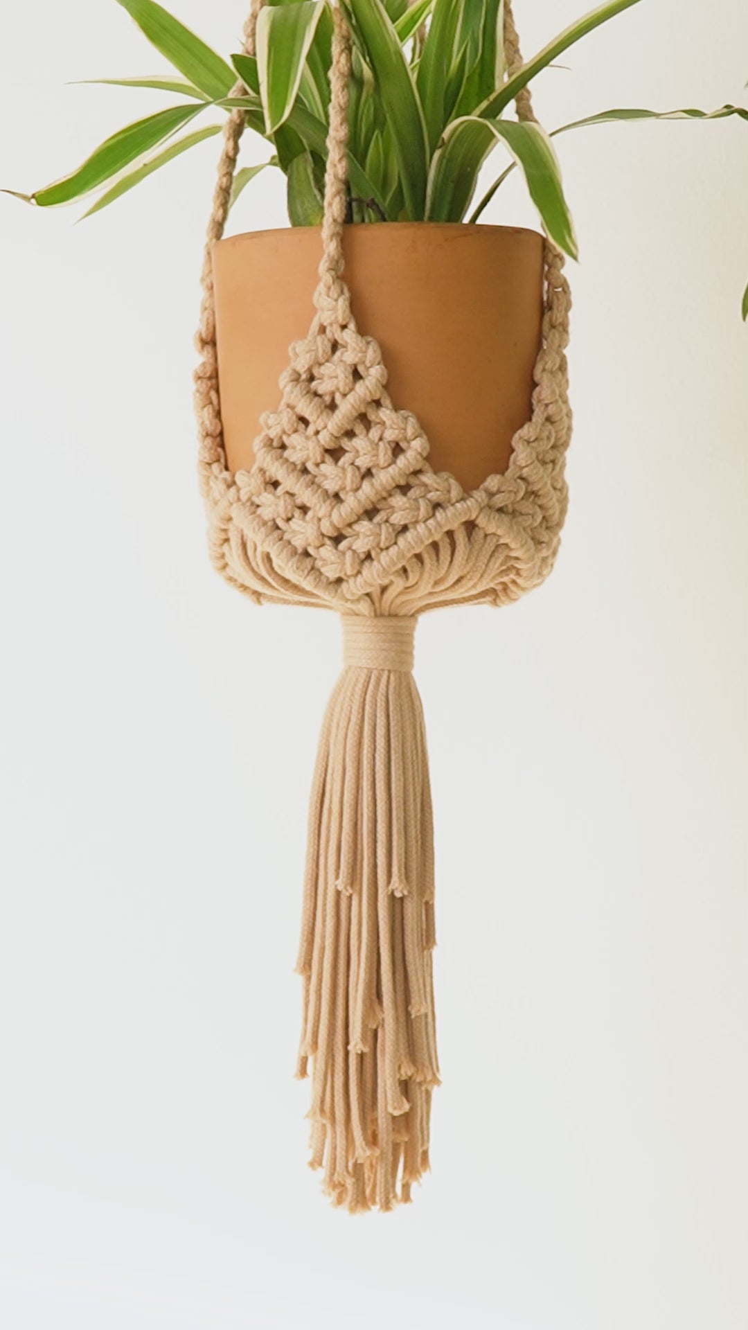Macrame plant hangers for boho botanical home decor